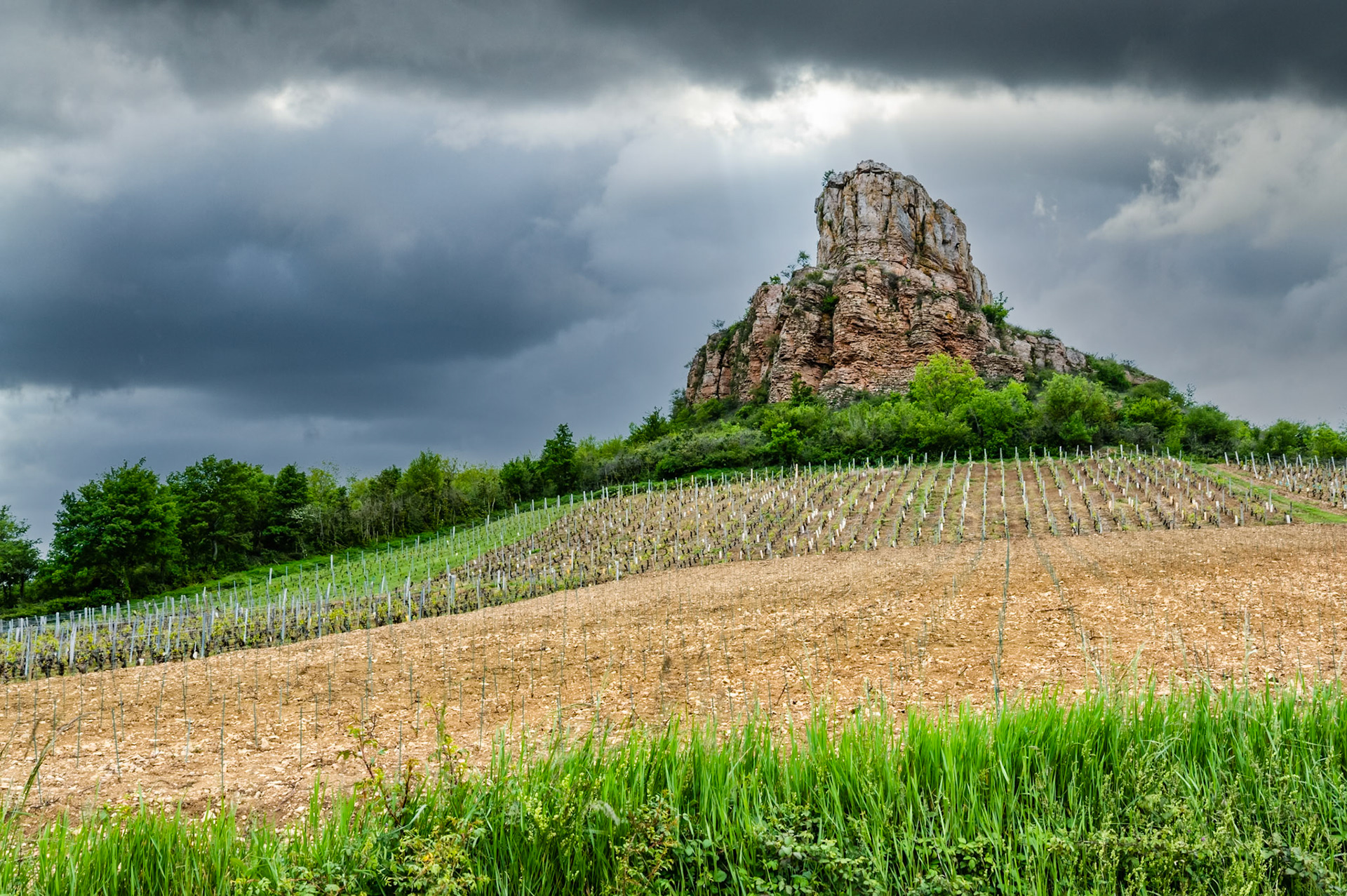 Culminant à 495 mètres, la Roche de Solutré fait partie du Grand Site de France, constitué de Solutré, Pouilly et Vergisson. Avec ses 100m de dénivelé, elle se laisse gravir relativement facilement et du sommet on découvre un spectaculaire panorama sur les vignobles du Mâconnais et la plaine de la Saône.. Je vous conseille de faire une halte au musée de la préhistoire situé au pied et dans la roche. L'occasion de mieux comprendre la valeur archéologique du site.