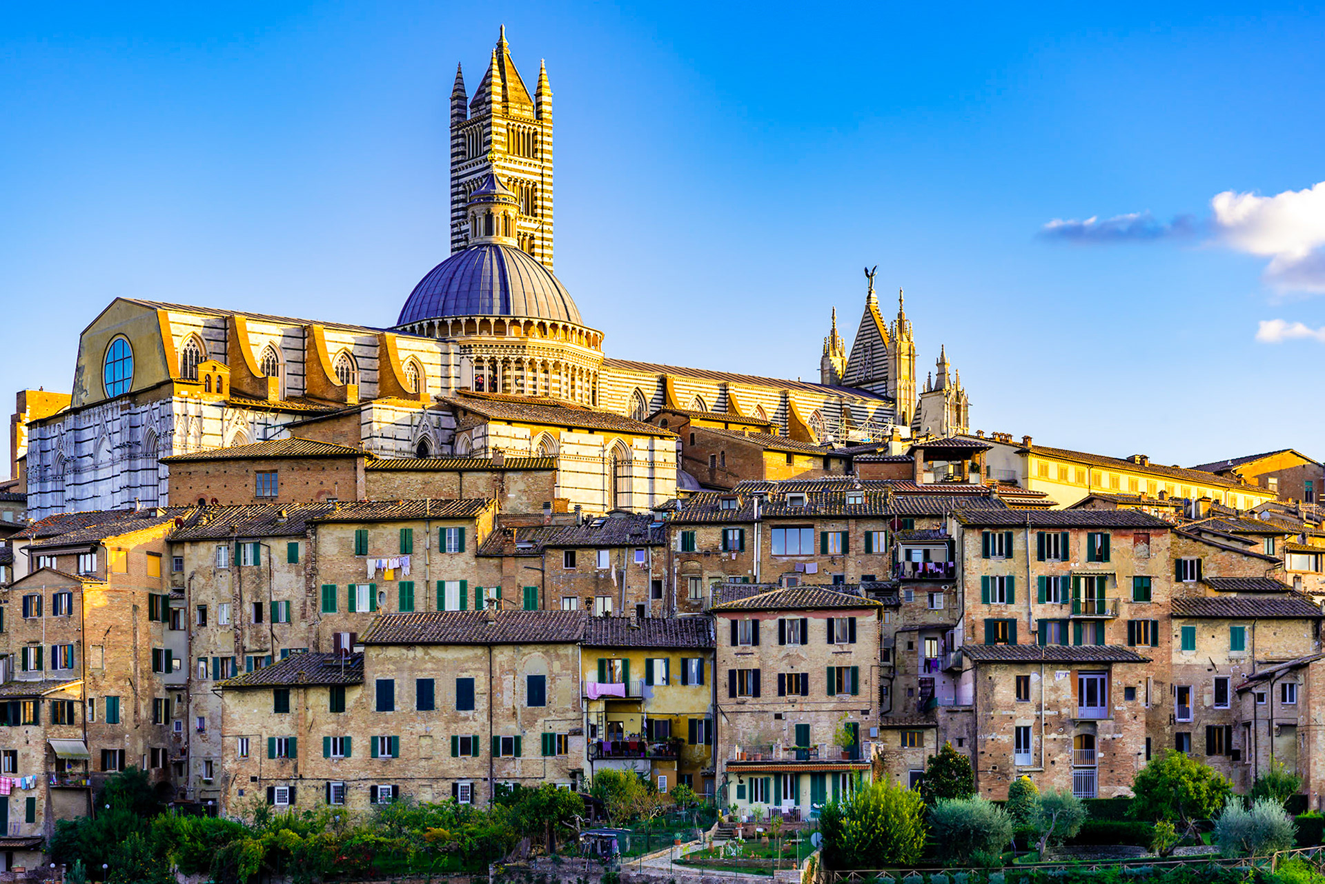 Duomo Cathedral and Tower - Siena, Italy