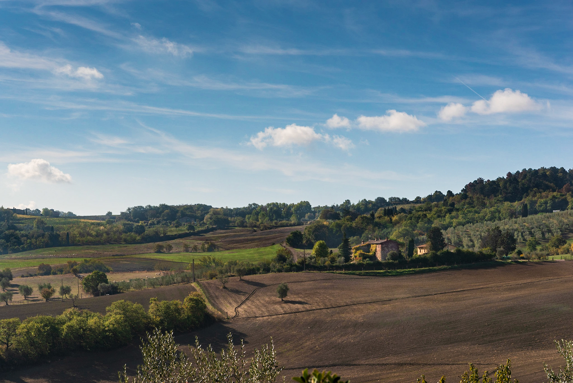View of the sheep farm which supports the production of Pecorino cheese.