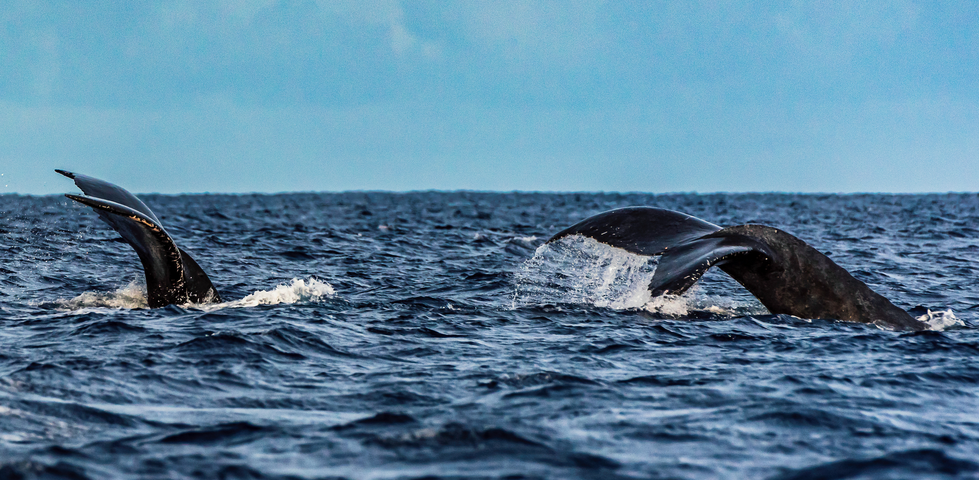 Taking the Duel Underwater