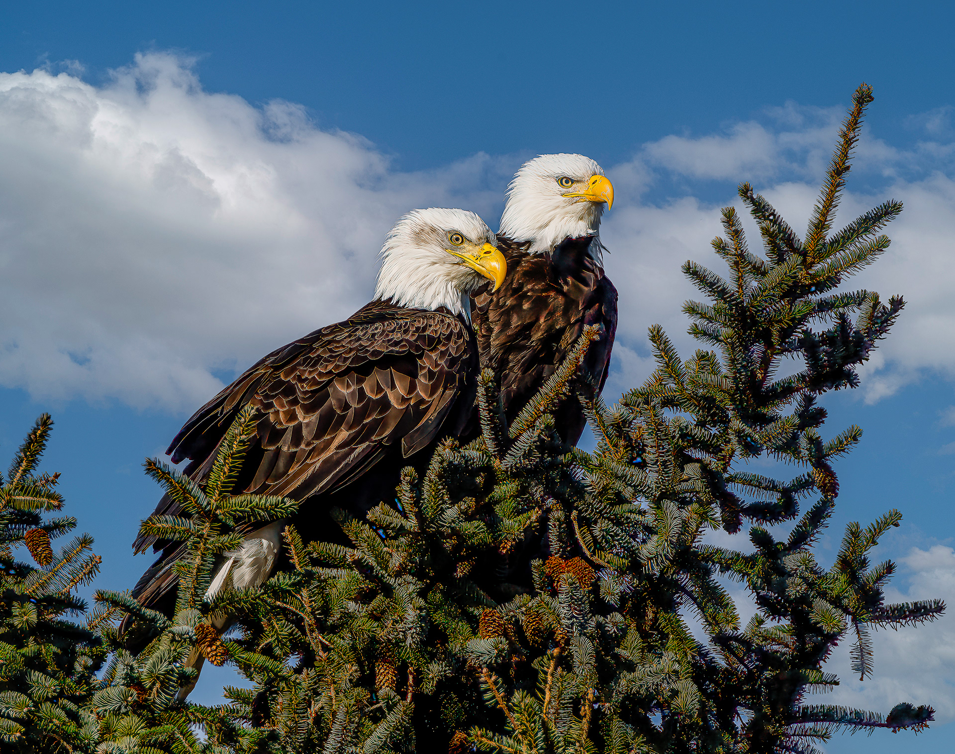Eagle Pair-Highlands Golf Course-Gearhart