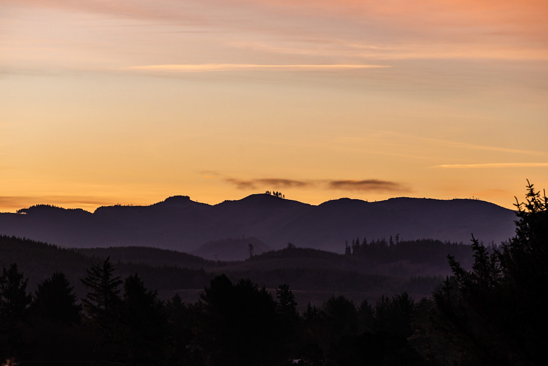Dawn-Oregon Coastal Range
