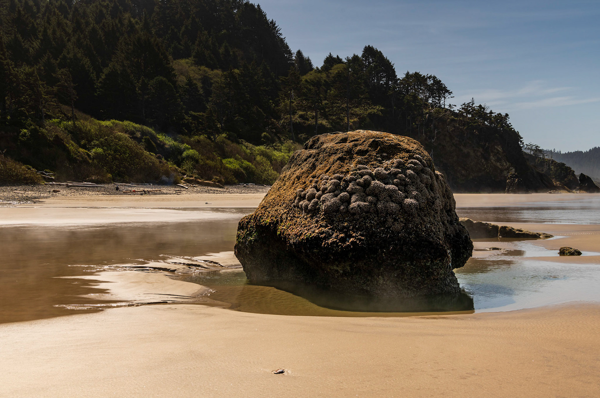 Natural Water Feature