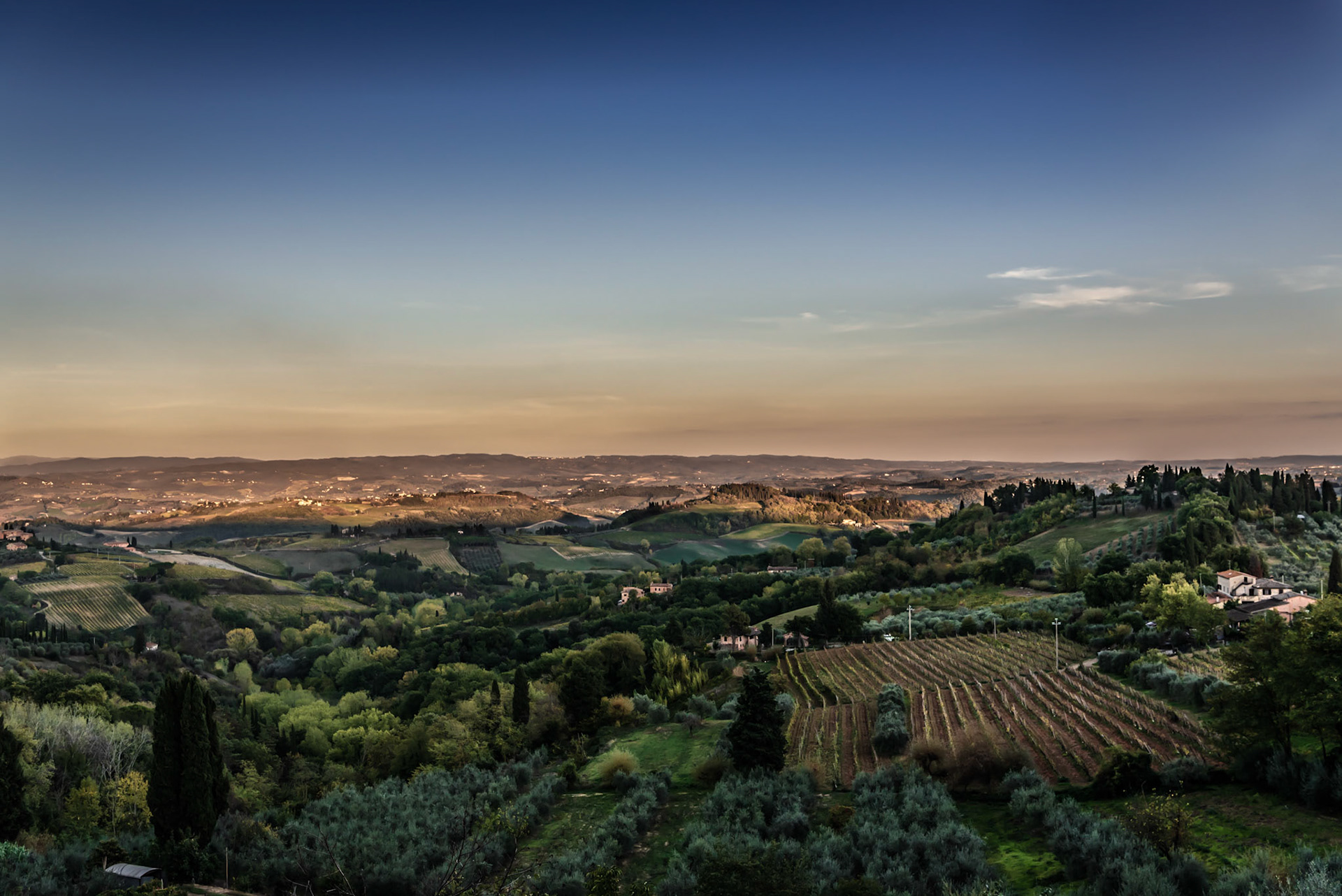 Evening view of land dedicated to the agricultural product of Chianti Distict-Tuscany