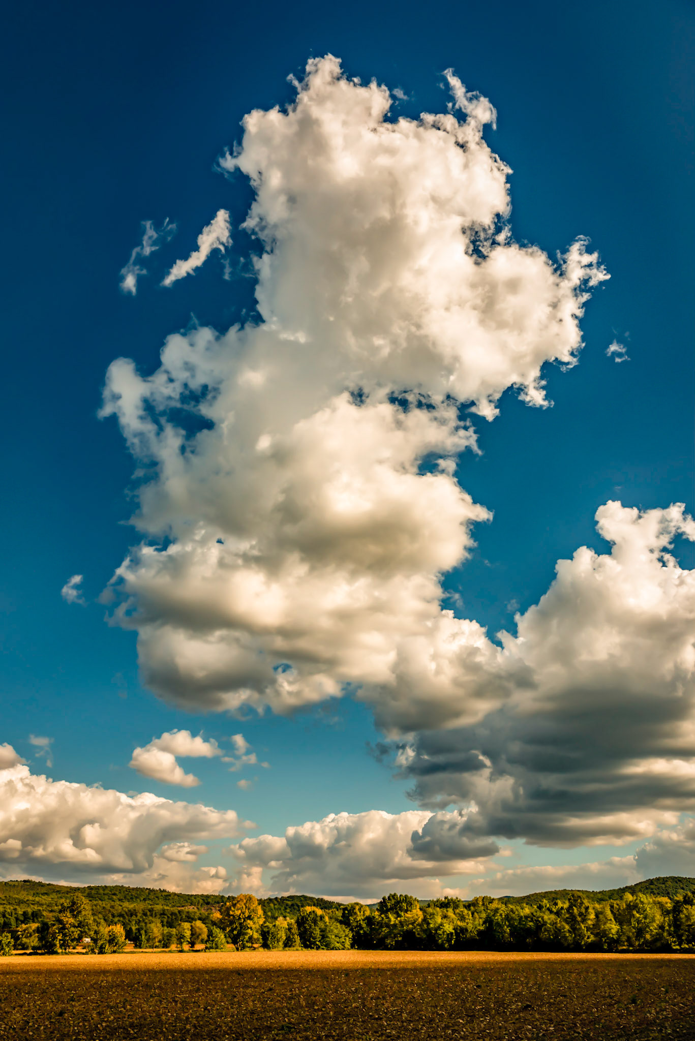 Field on a private Tuscan estate prepared for planting