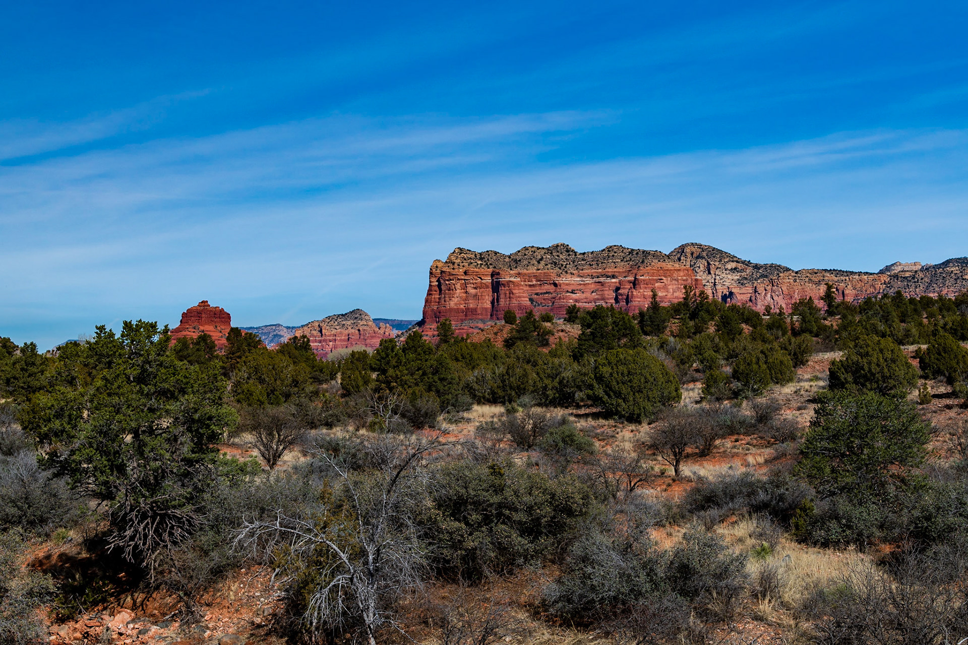Morning Sun on Bluff Formations