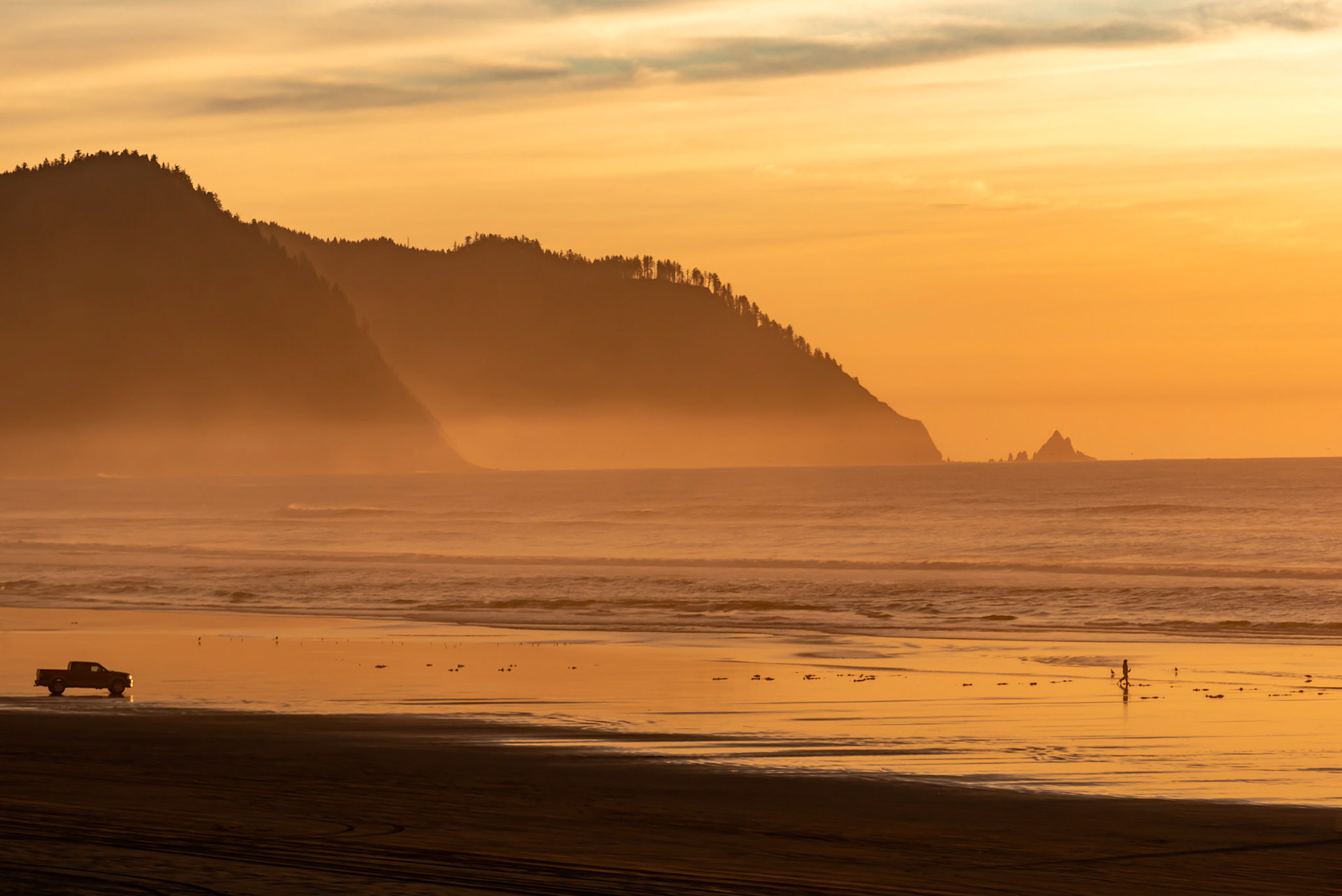 Razor Clammer during Winter Sunset 