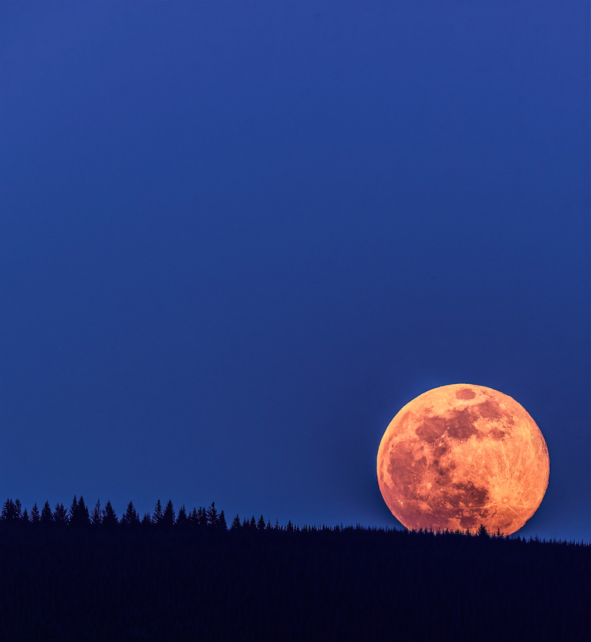 Last Super Moon of 2020