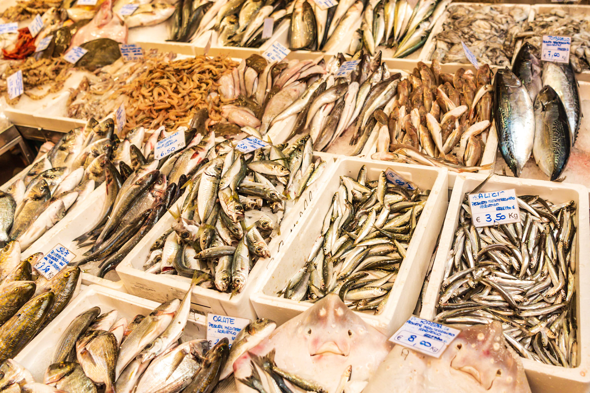 Fishmonger in Bologna's open street market