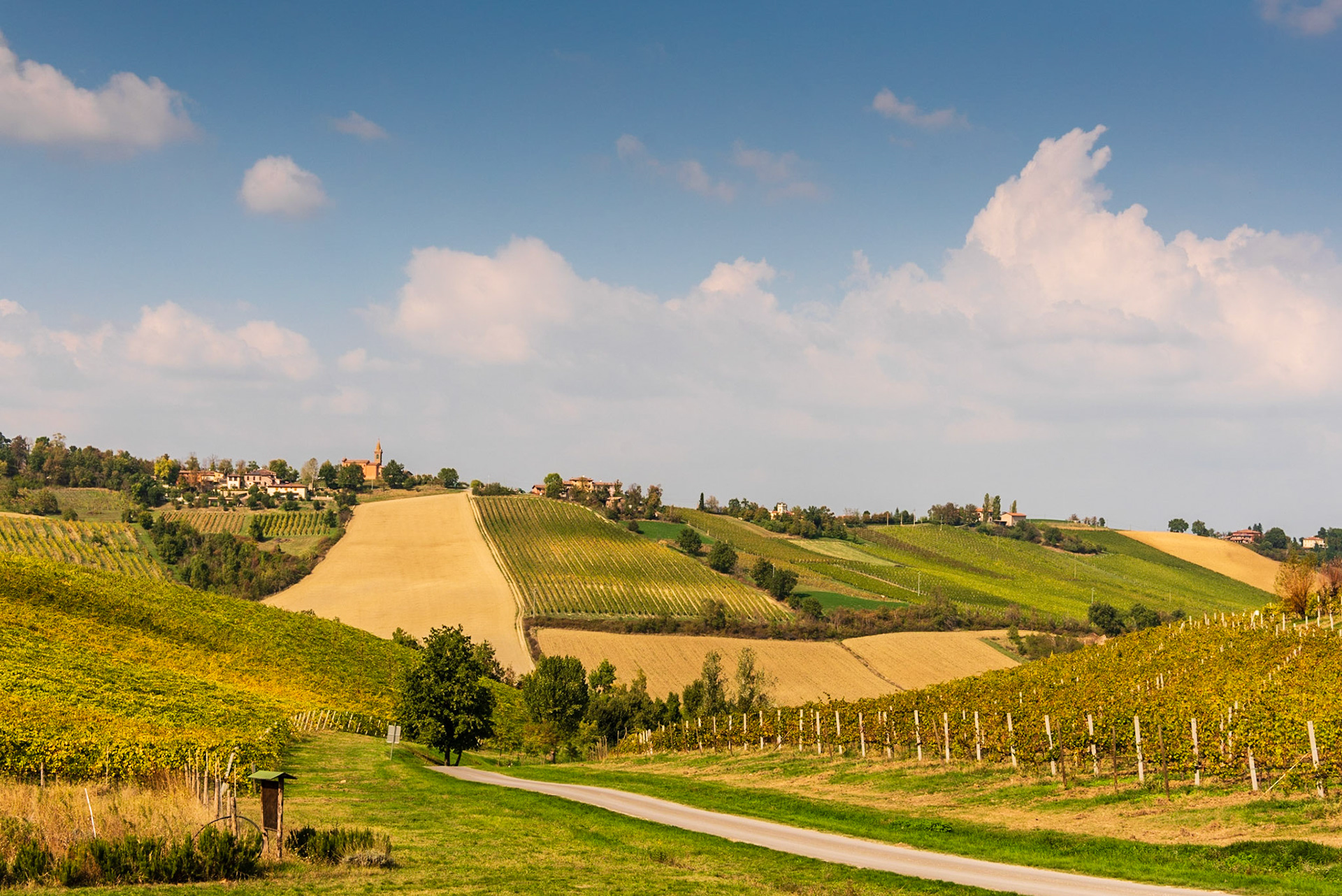 Wine growing and production  area for Lambrusco outside of Bologna, Italy