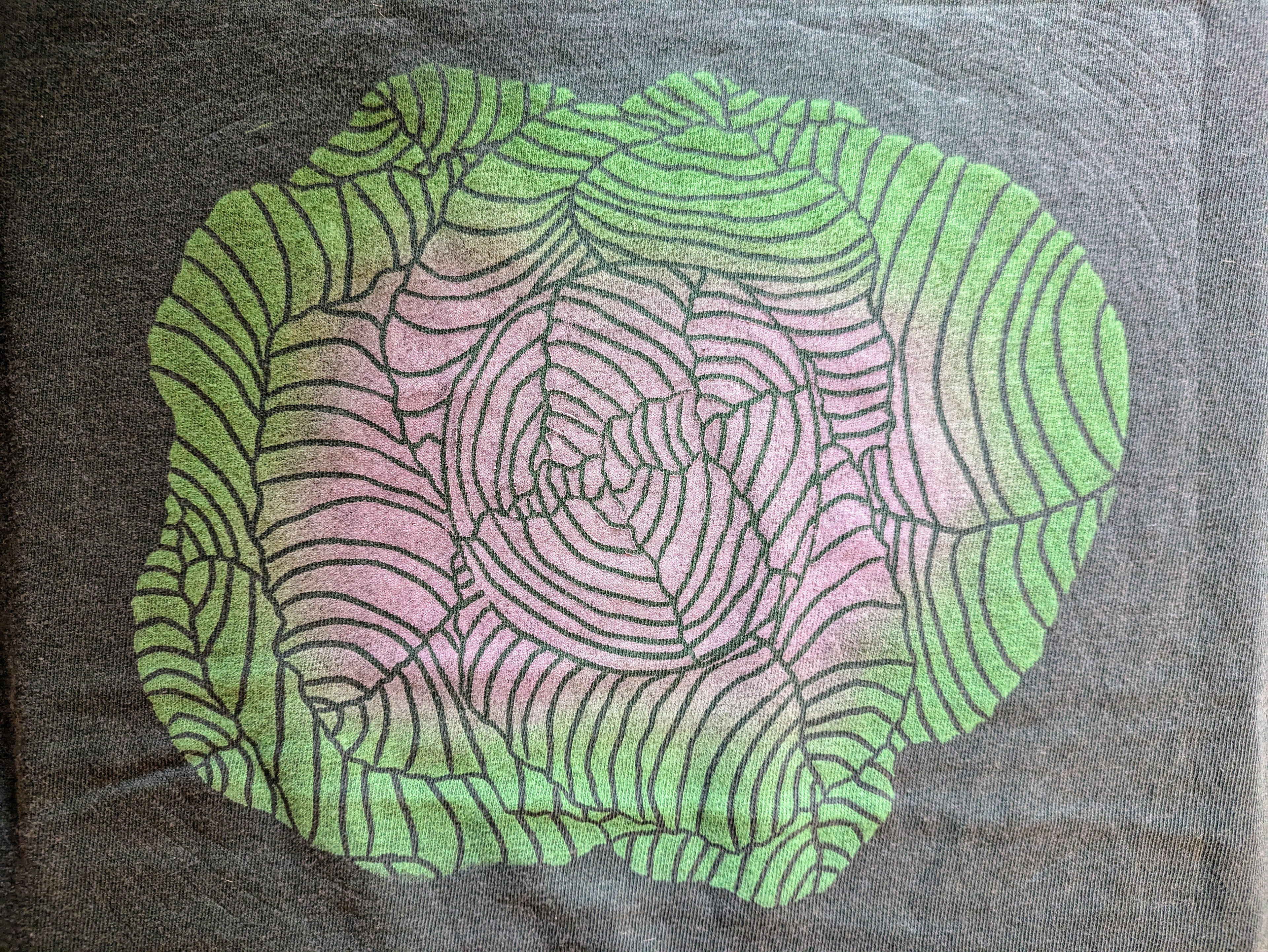 Cabbage (on green/purple) $30