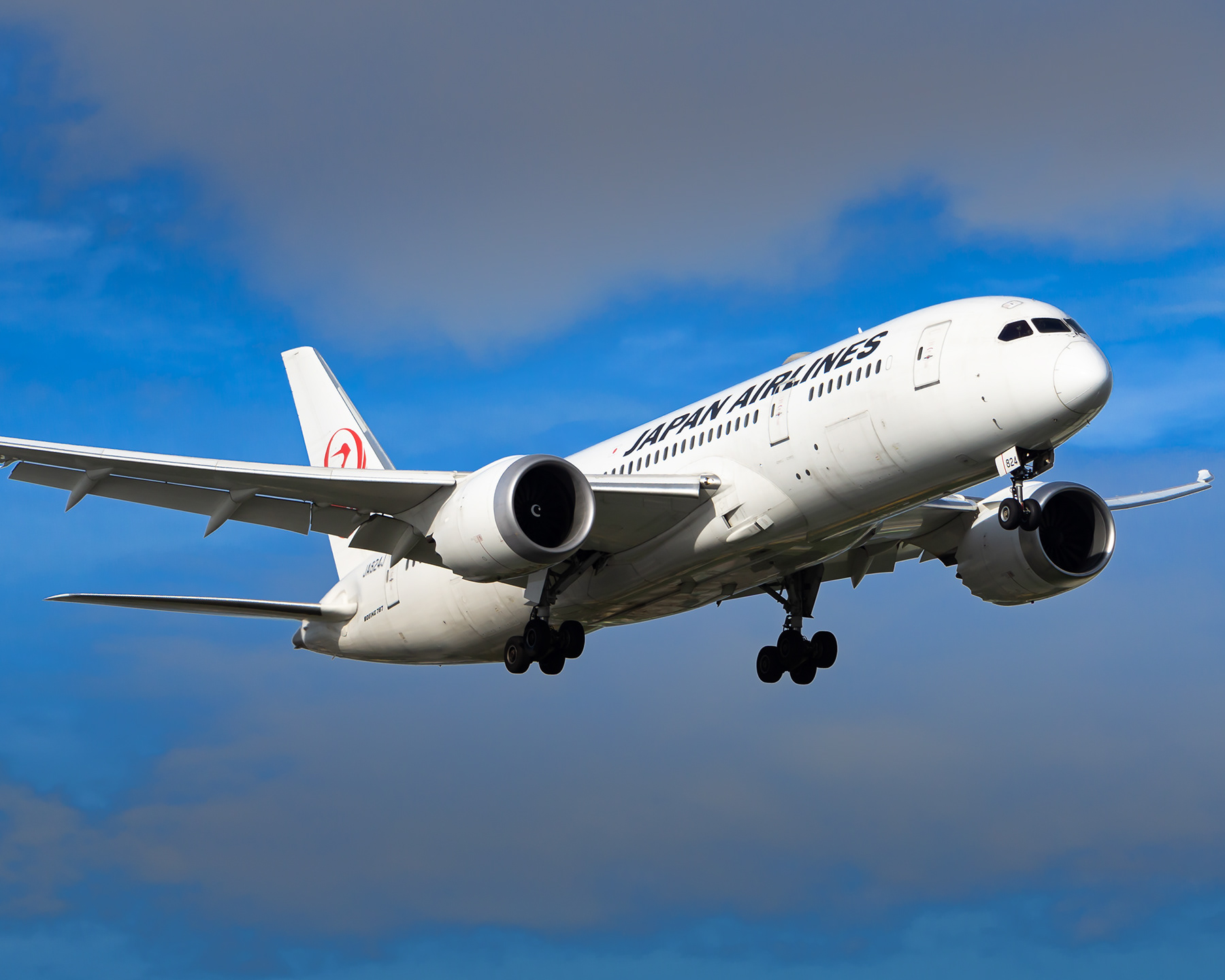 Japan Airlines I B787-8 I JA824J