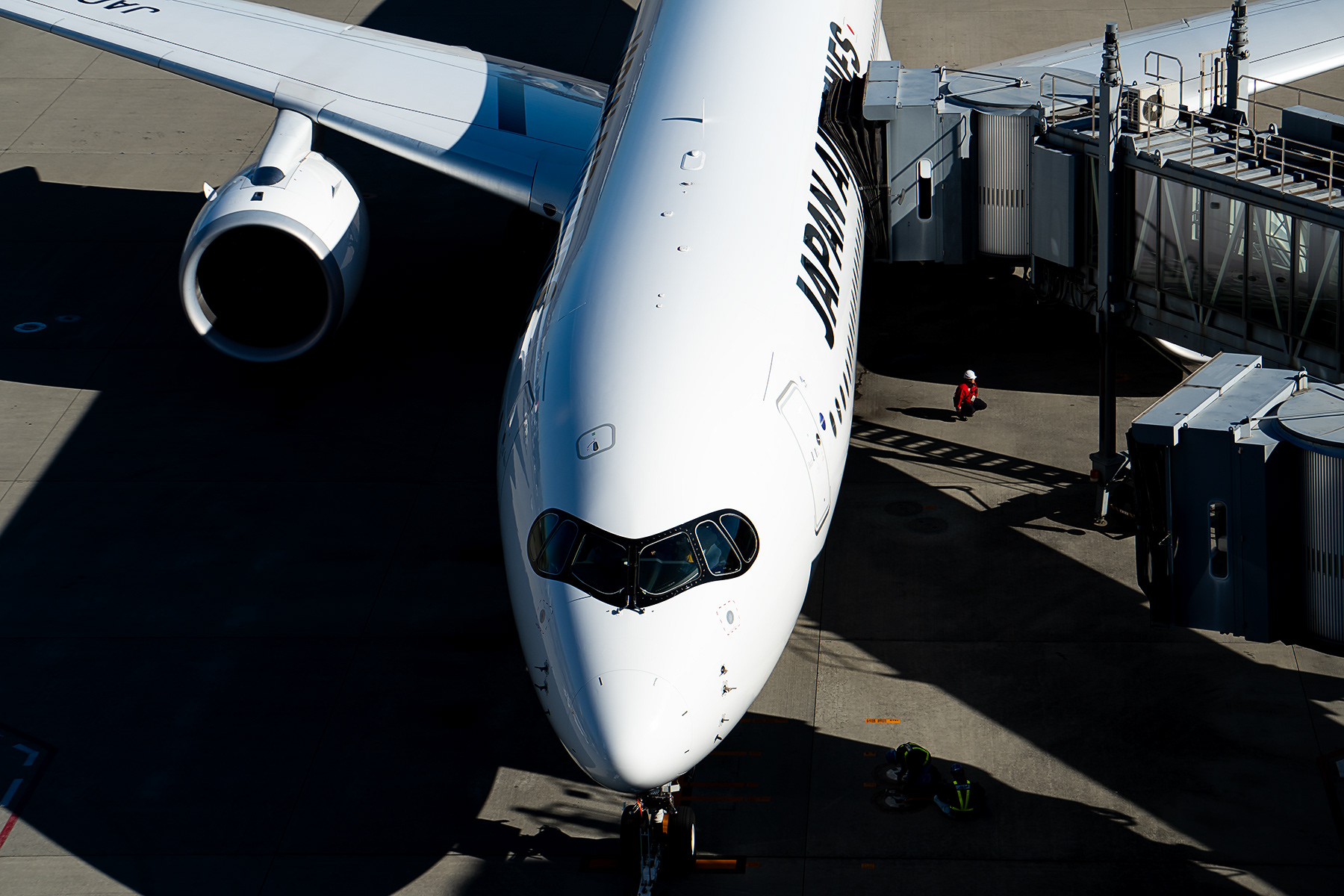 Japan Airlines I A350-1000 I JA02WJ