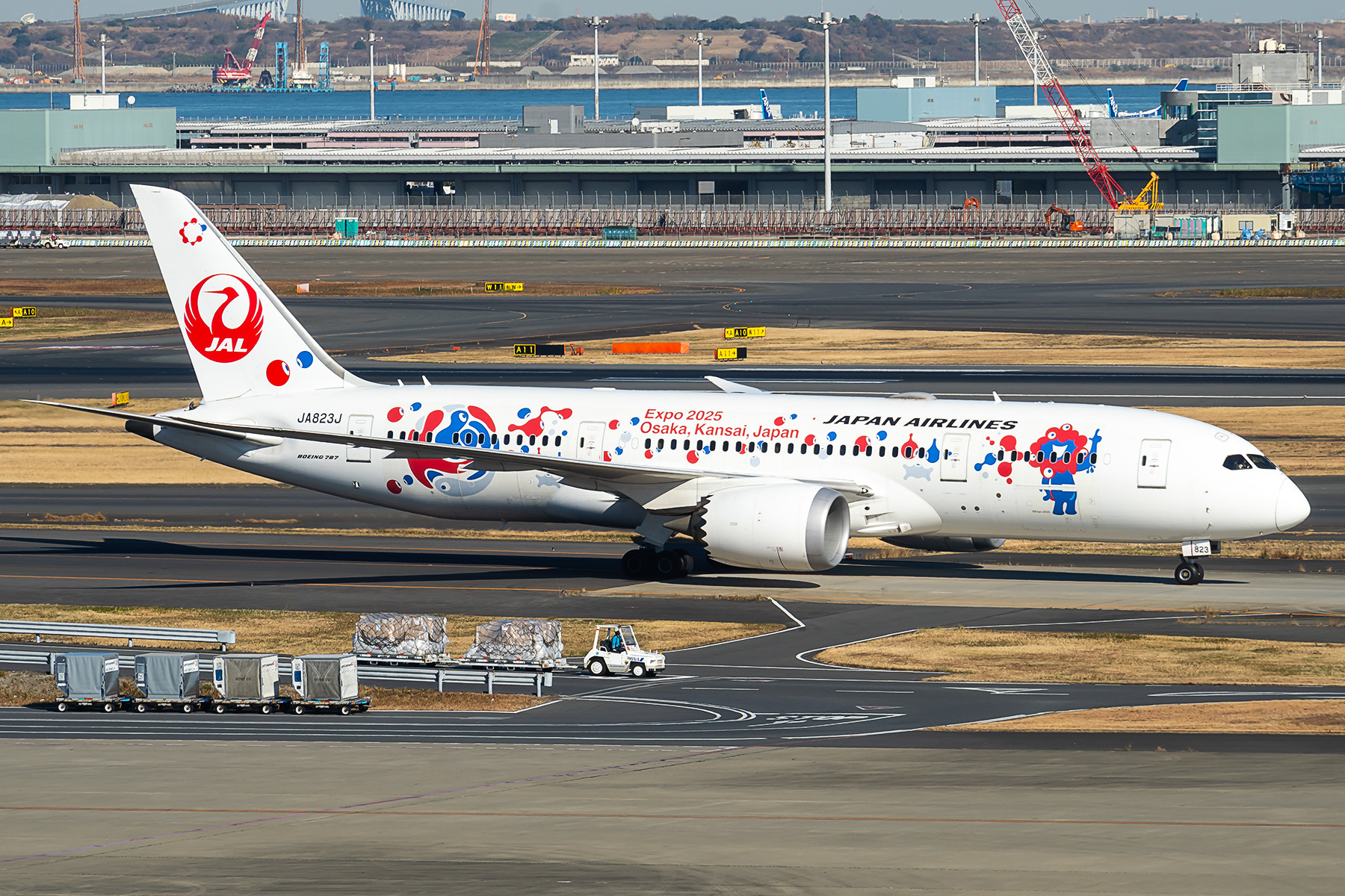 Japan Airlines I B787-8 I JA823J