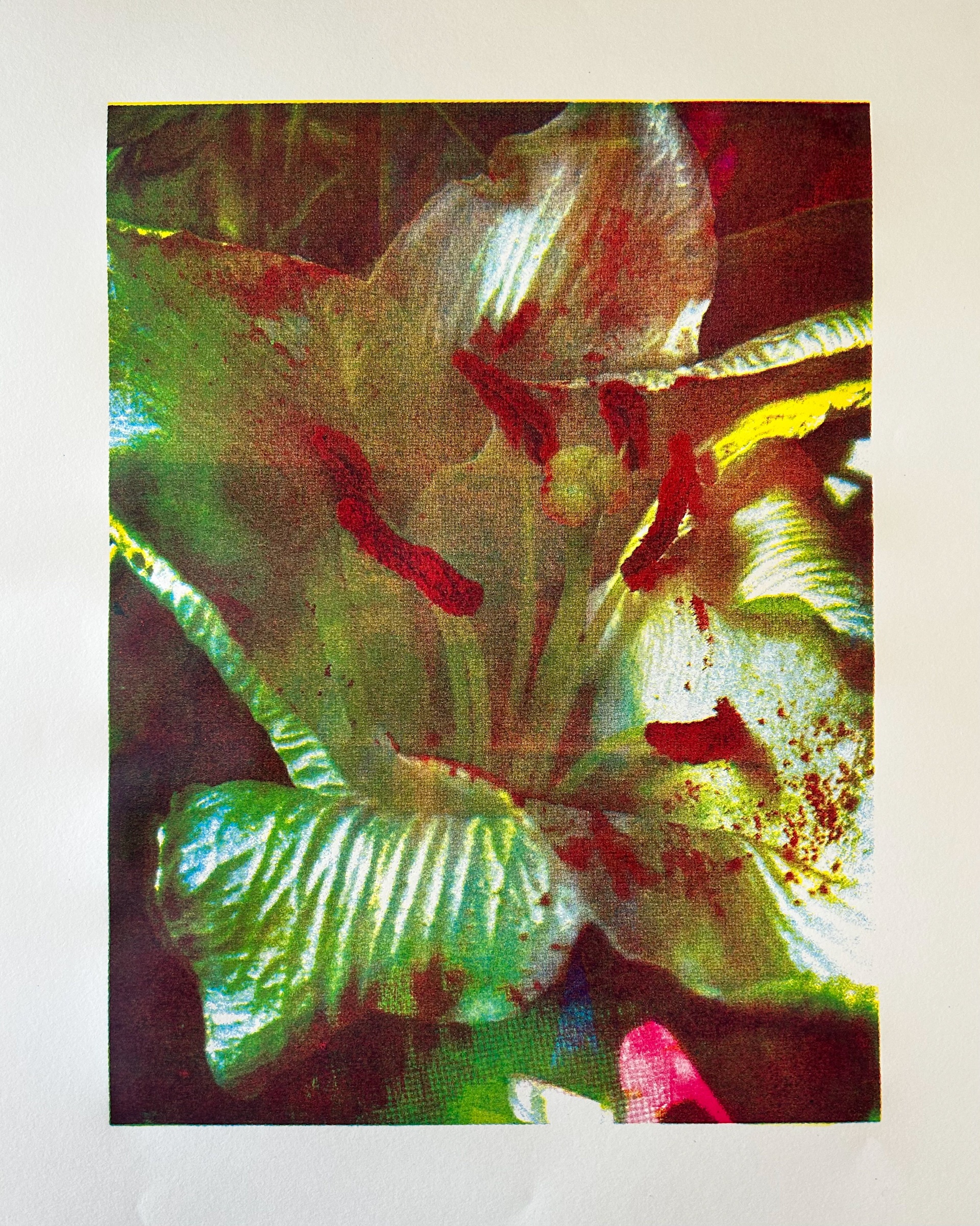 Untitled (2026)