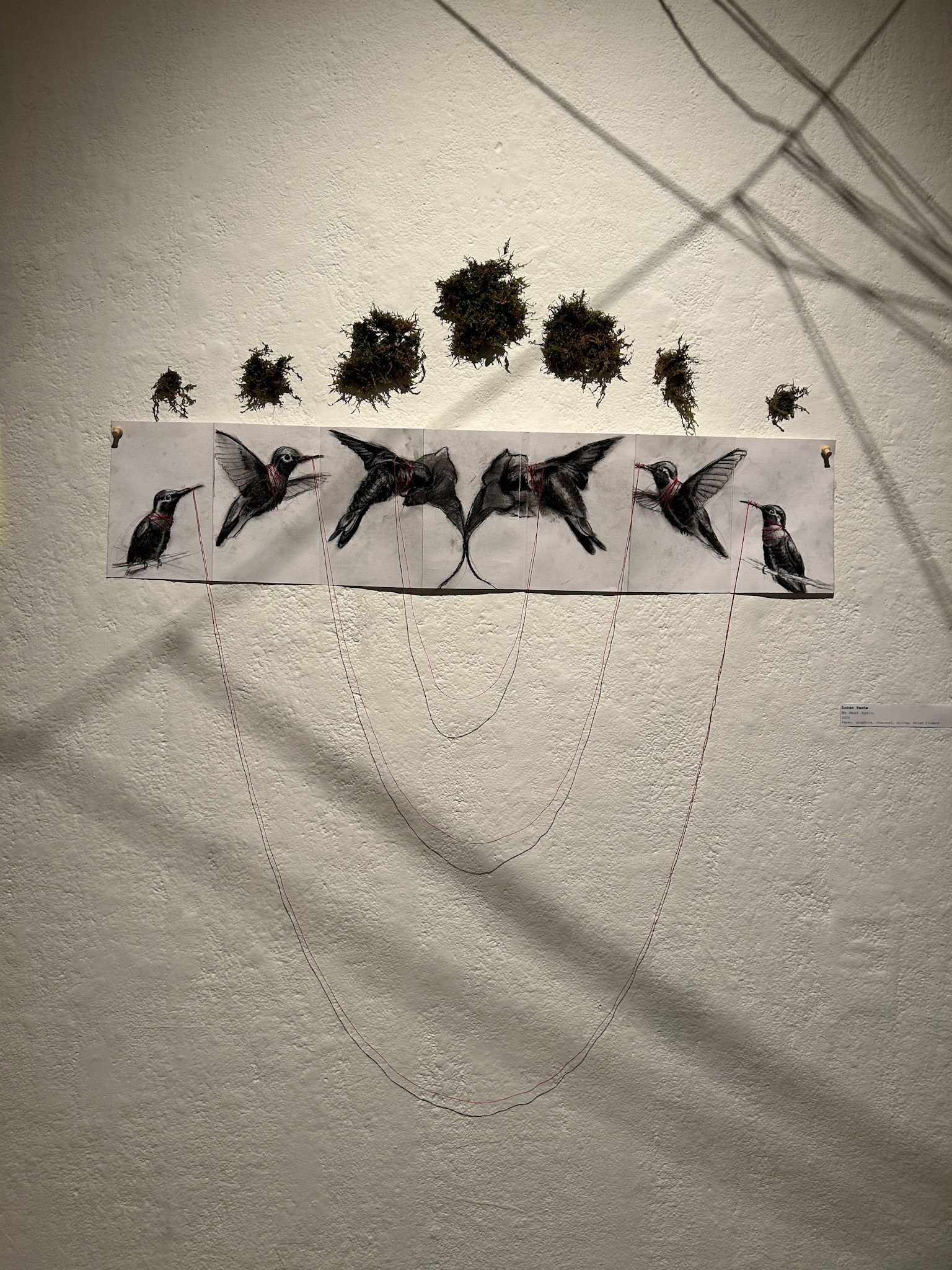 Unknowingly Tangled Together 2024 Paper, graphite, charcoal, string