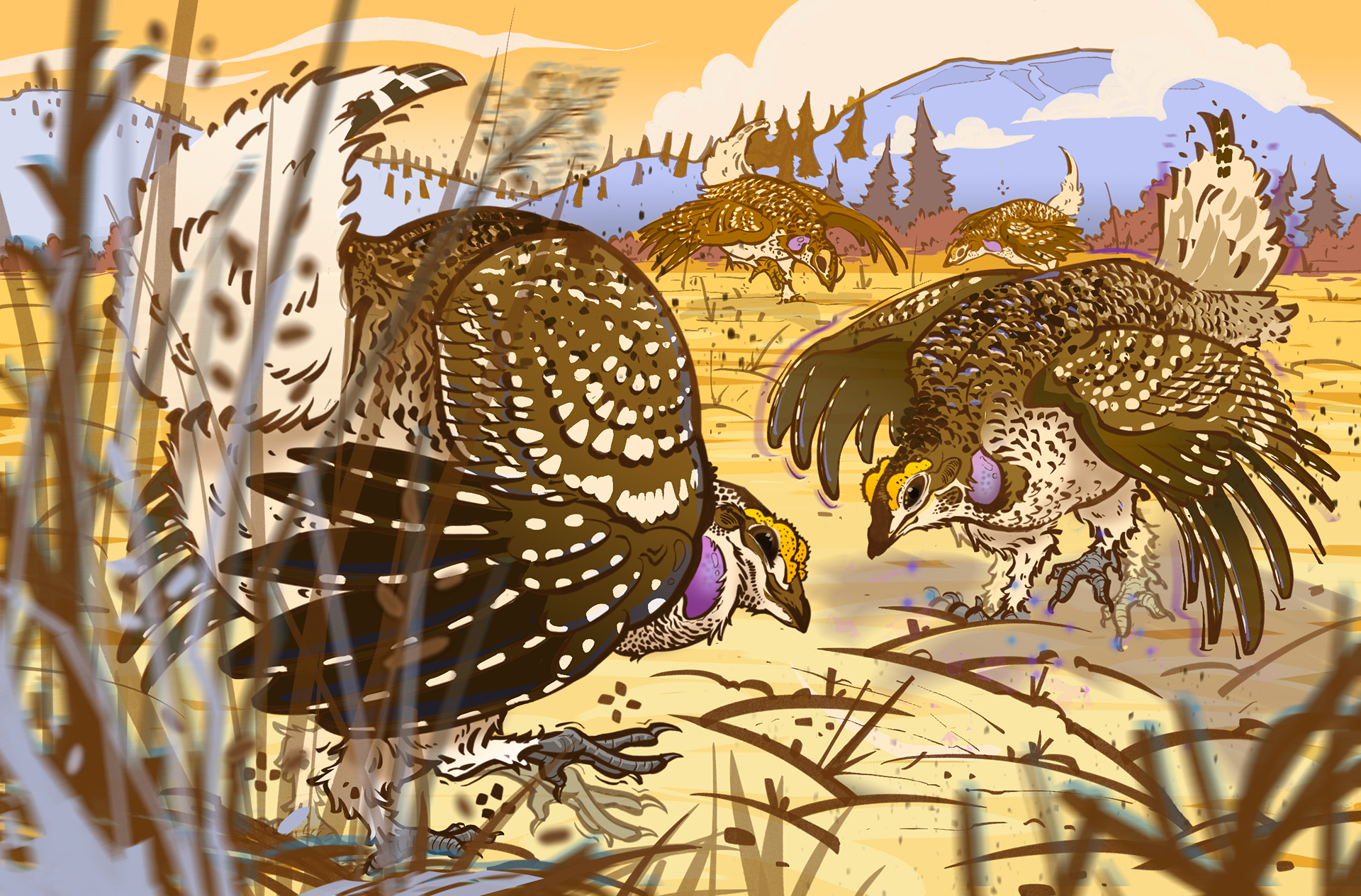 Dancing Grounds - Nature Conservancy of Canada