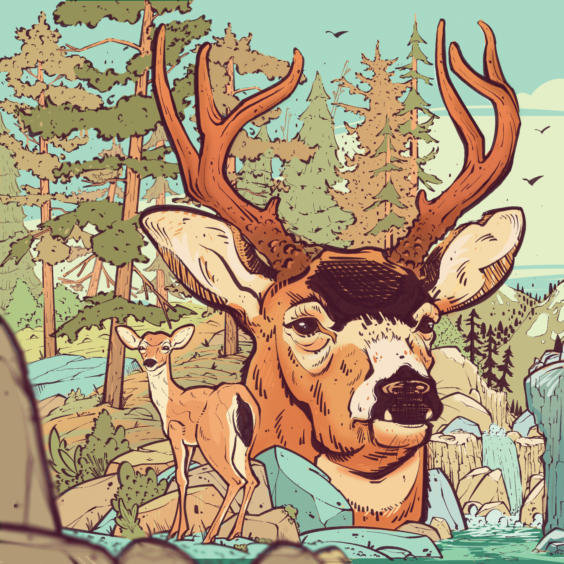 Black-tailed Deer - BC Outdoors Magazine