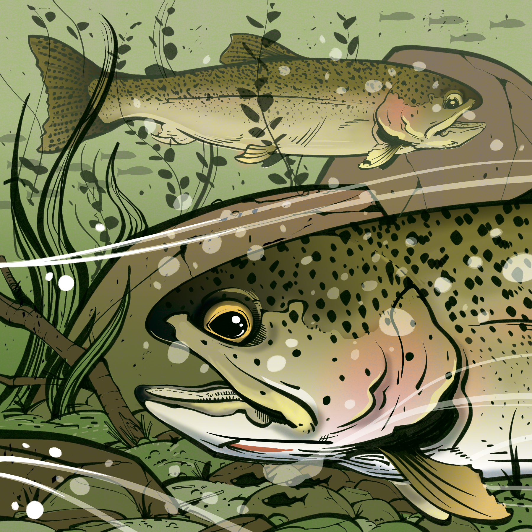 Coastal Cutthroat - BC Outdoors Magazine