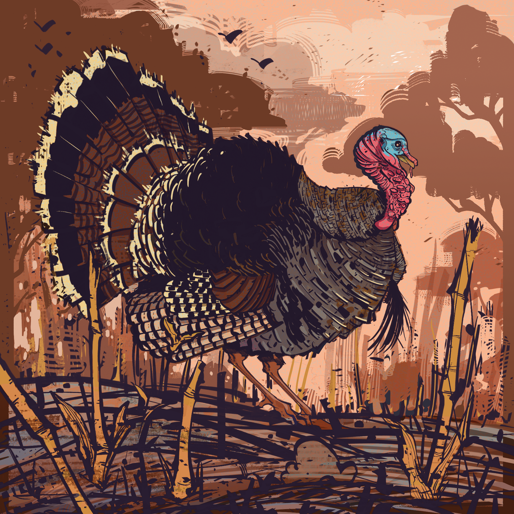 Turkey - BC Outdoors Magazine