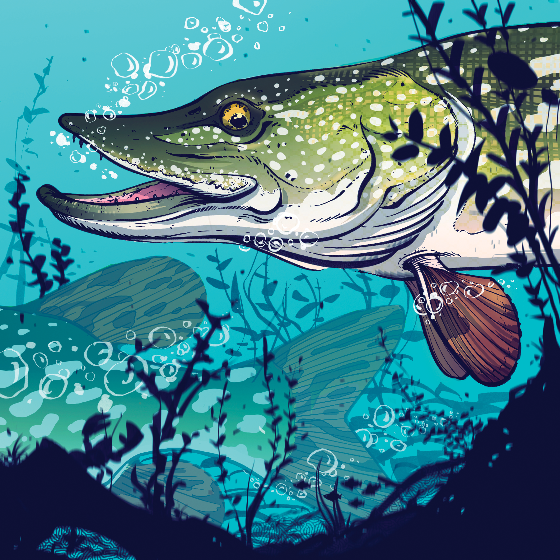 Pike - BC Outdoors Magazine