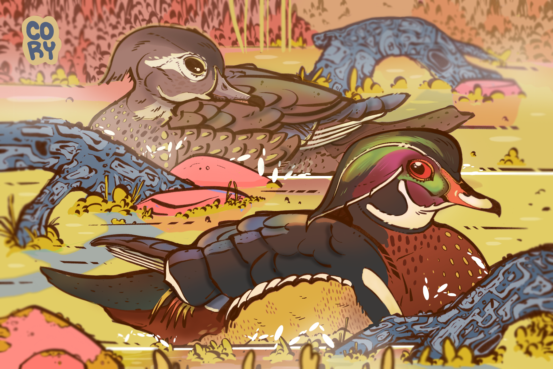 The Elegant Wood Duck