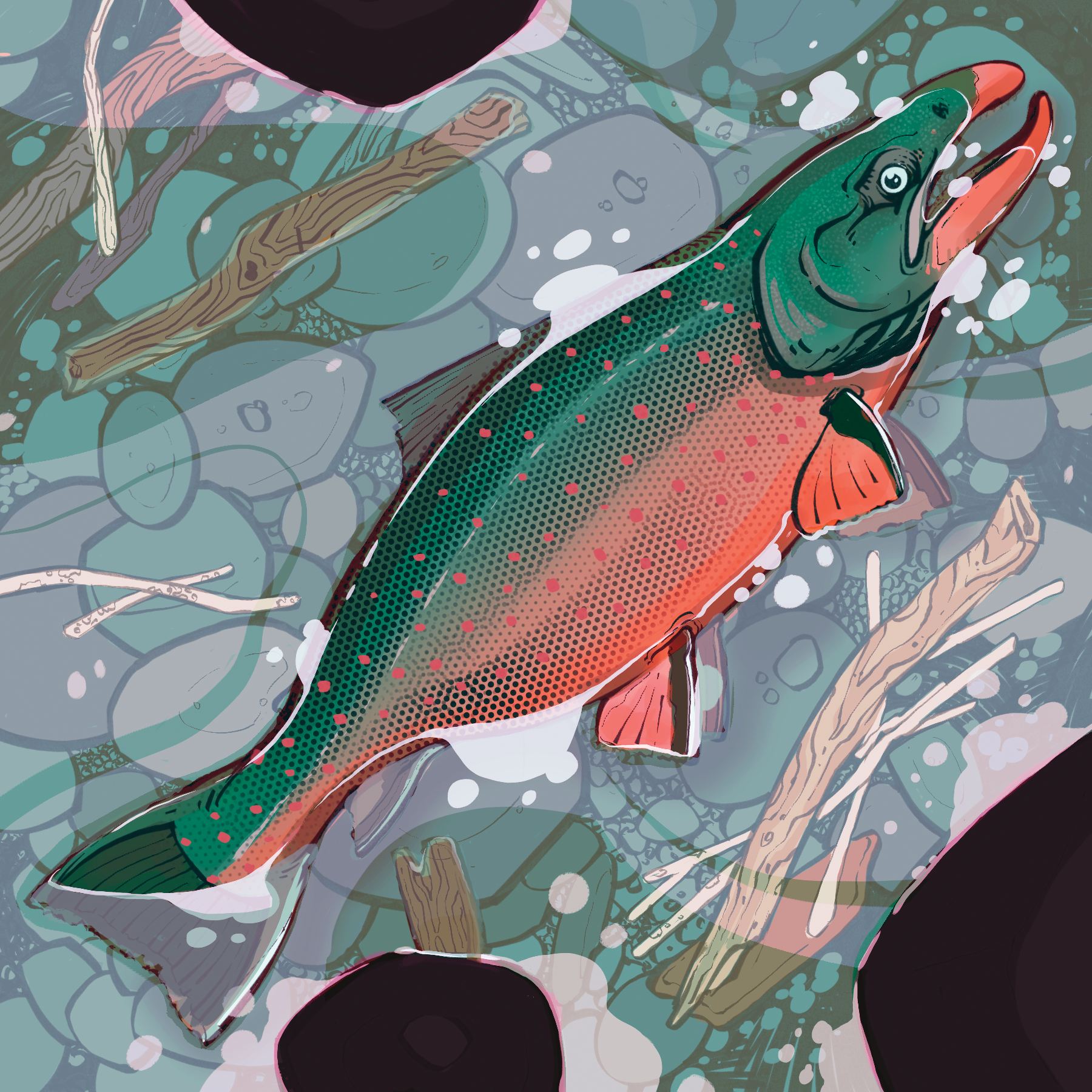 BC Outdoors Magazine May/June 2024