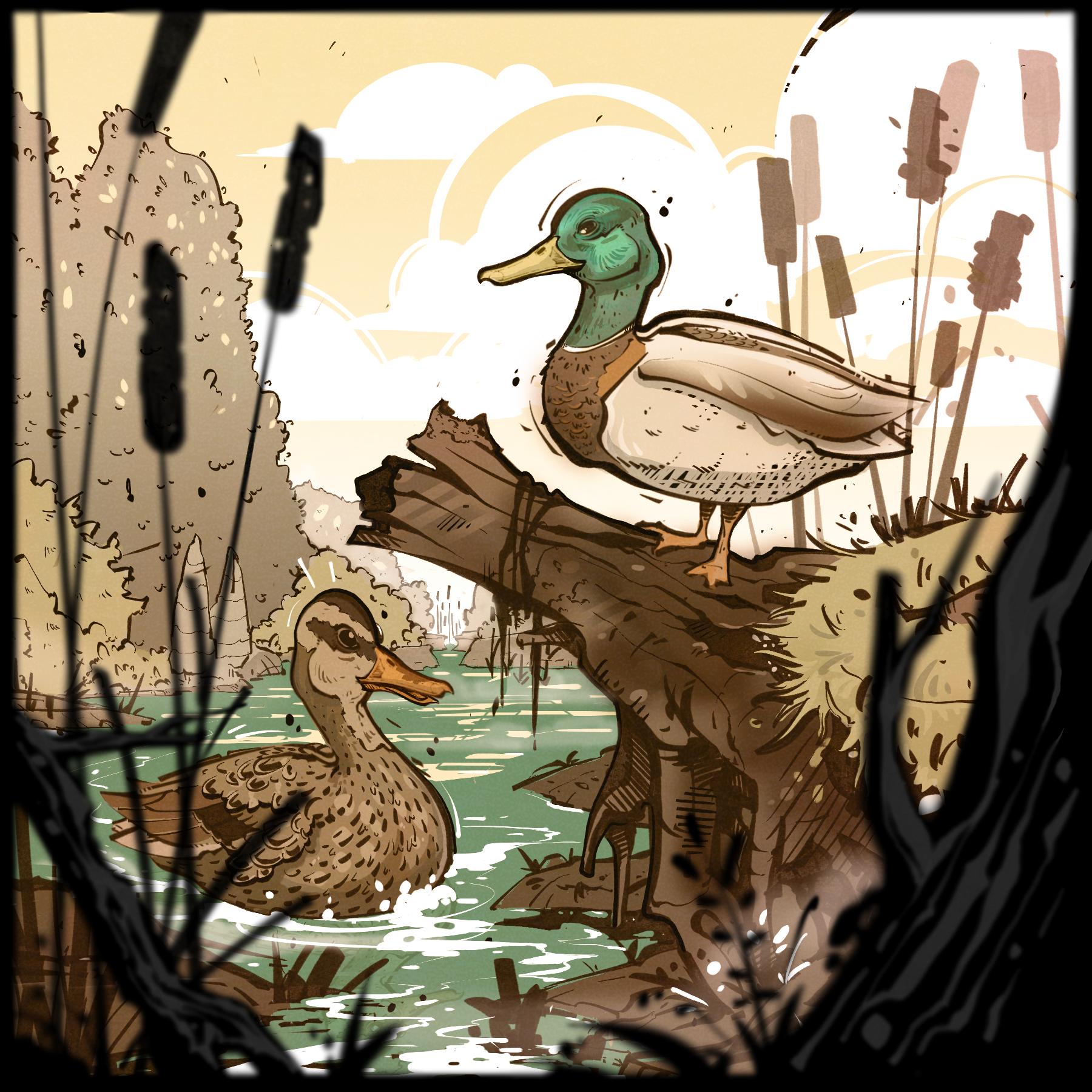 Mallard Ducks - BC Outdoors Magazine