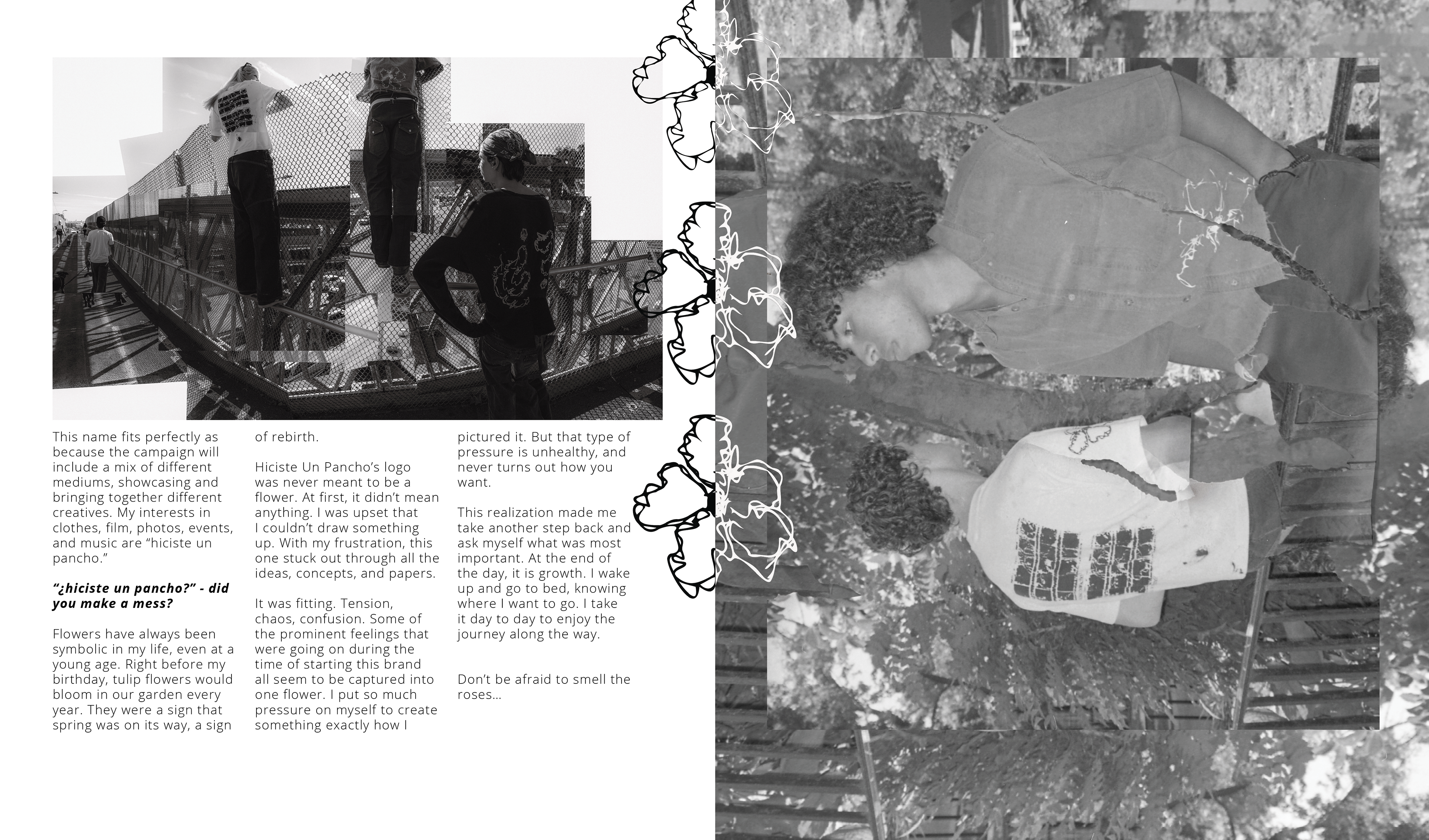 HICISTE UN PANCHO? IT'S ALL JUST NOISE