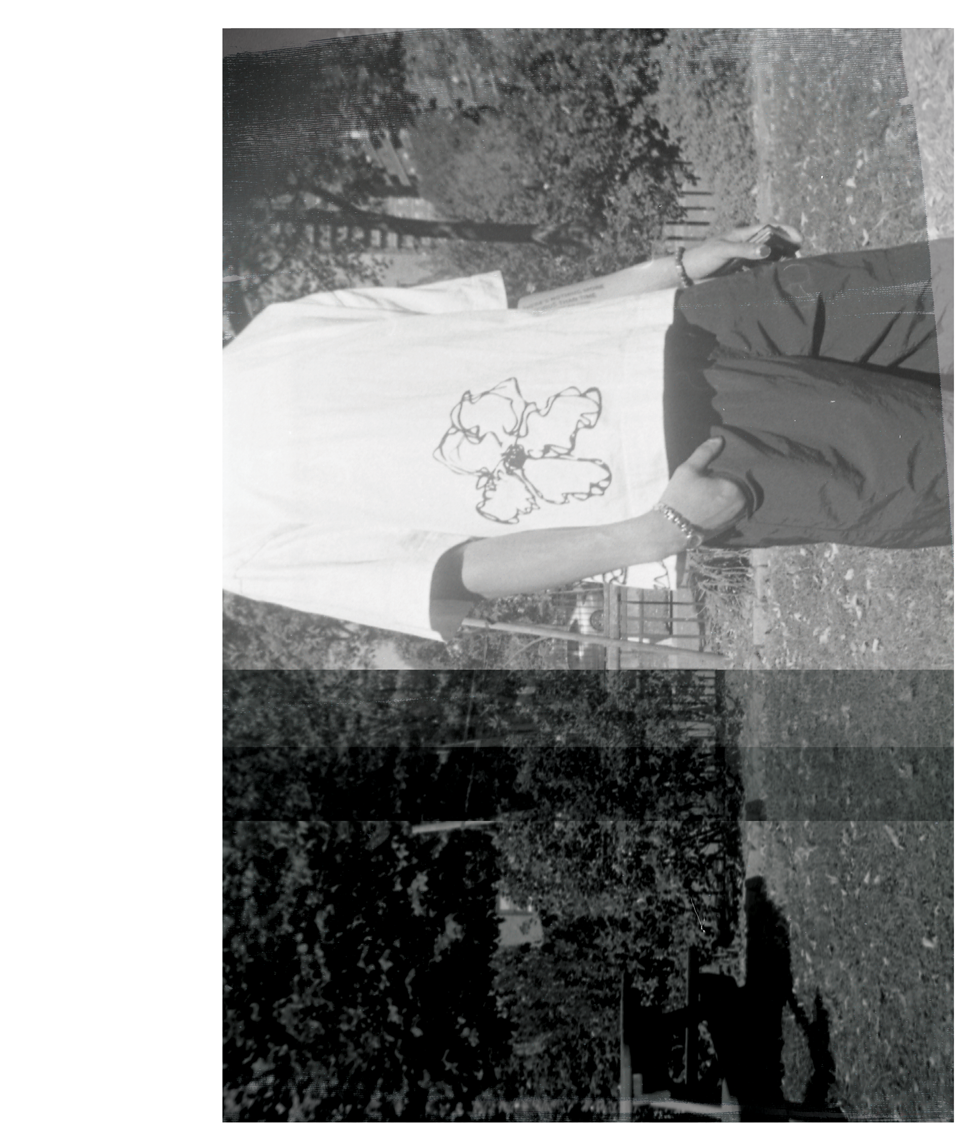 HICISTE UN PANCHO? IT'S ALL JUST NOISE