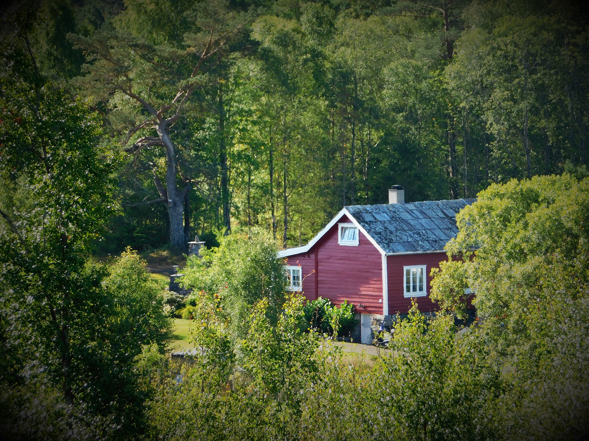 Fantastisk koselege tun kan du sjå frå GULLHAUG. Legg merke til furua bak til venstre. Me leika mykje i denne for 60-70 år sidan, og i hytta Arne og kameratane hadde bygt nedunder. Furua såg nett slik ut den gongen òg, slik Arne hugsar det. Juli 2018.