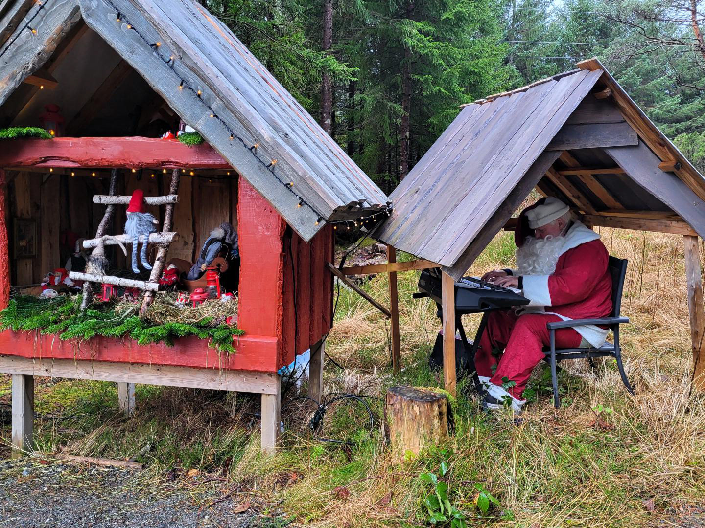 Nissen i full sving, og full mundur. Foto Hildegunn Ruud.