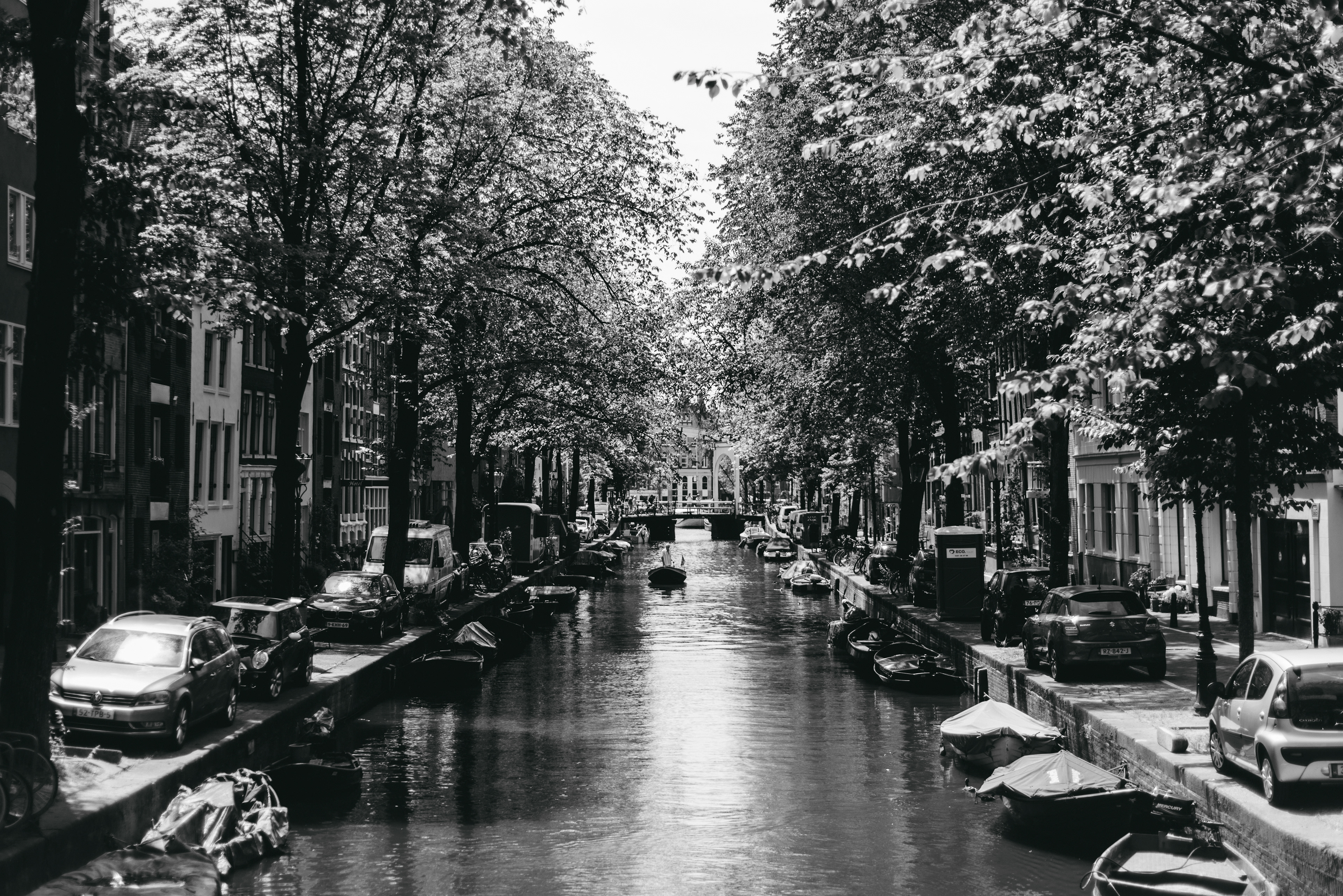 Ams