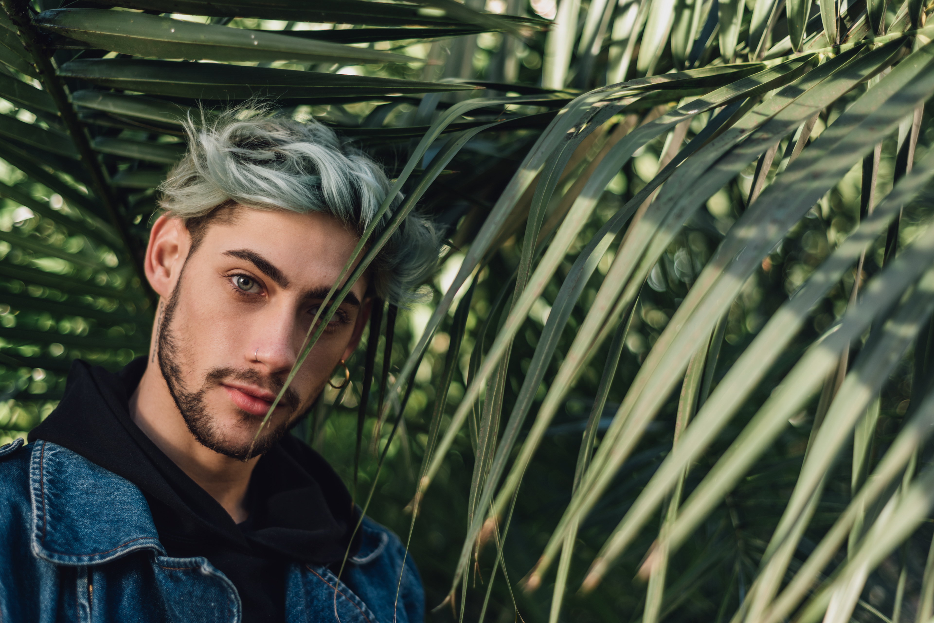 Federico