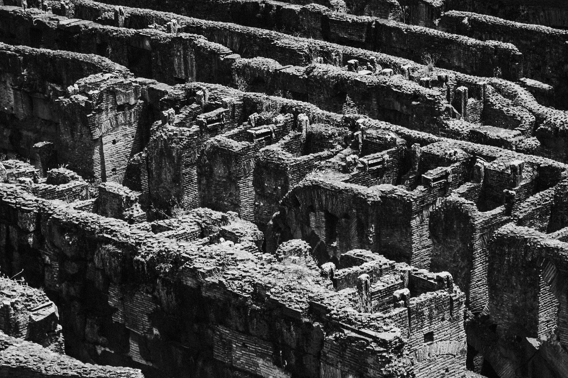 Ruinas del Coliseo