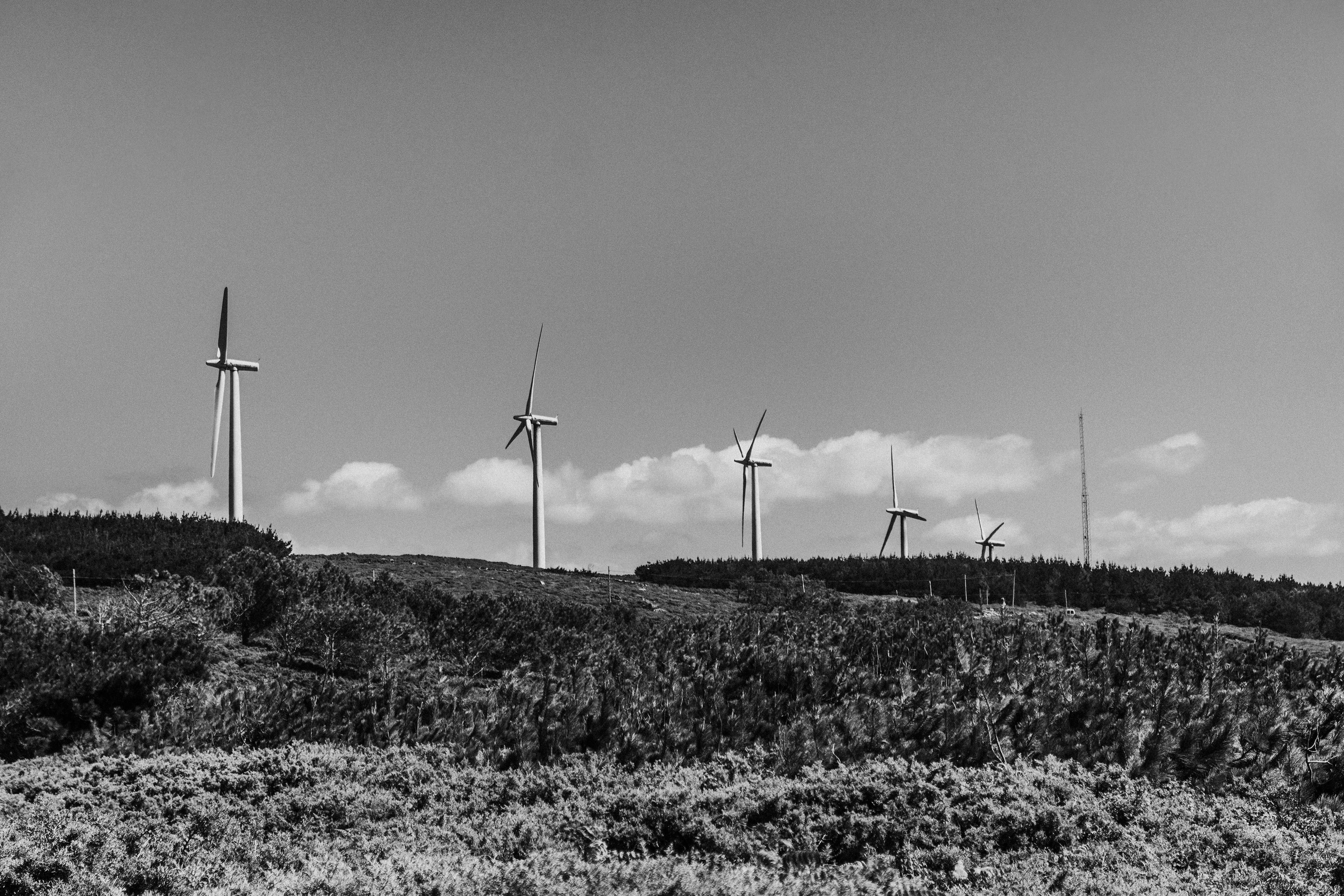 Molinos de viento