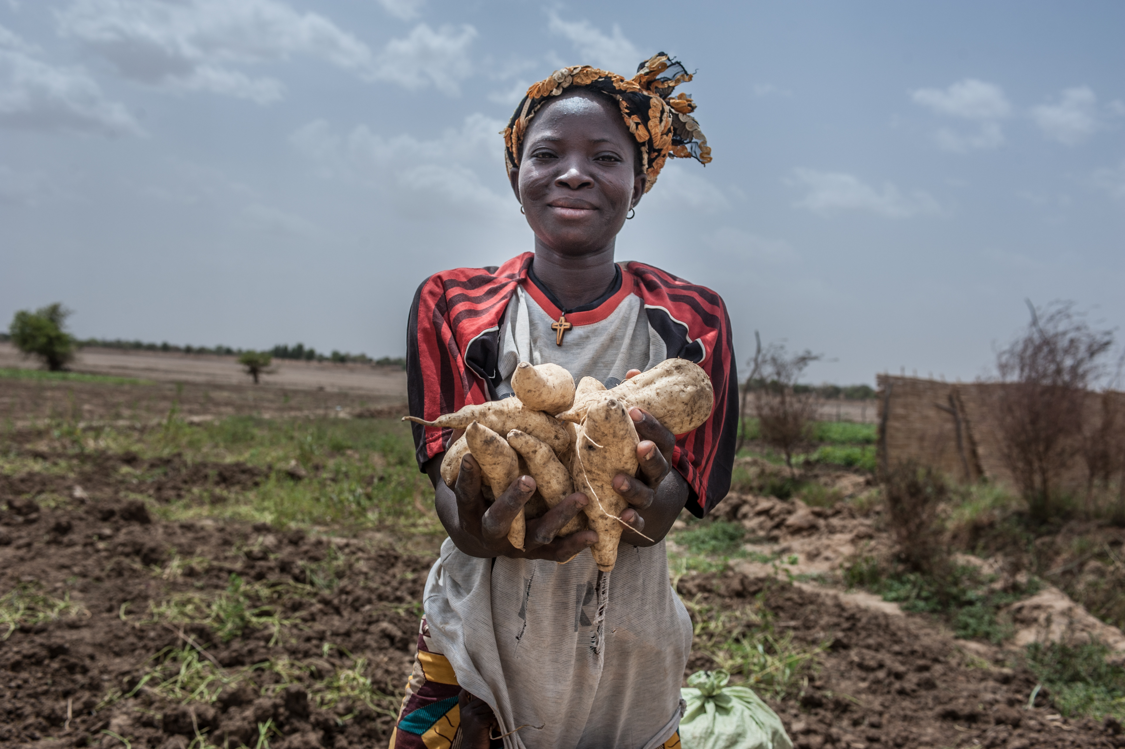 Margou, Burkina Faso - 5 May 2014: A woman shows potatoes in the village of Margou, Burkina Faso with Action Contre la Faim (Achievements Resilience Programme).