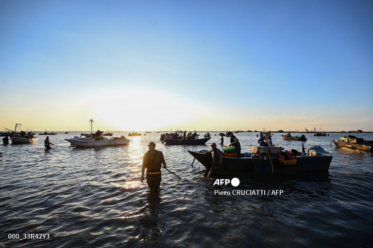 Fishermen harvest clams early on August 11, 2023 in the lagoon of Scardovari, south of Venice, Italy, where the ‘blue crab’, a particularly aggressive species is spreading, threatening local shellfish and fish in the delta where the River Po reaches the Adriatic sea. The blue crab, native to the North American Atlantic coast, has been spreading across the Mediterranean for several years and has now reached what has been described as a "critical situation" in some of Italy's coastal areas. (Photo by Piero CRUCIATTI / AFP) 