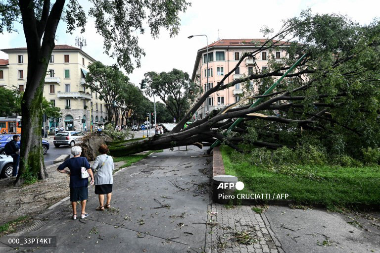 Residents view an uprooted tree in Milan on July 25, 2023 after an overnight rainstorm hit the city. (Photo by Piero CRUCIATTI / AFP)