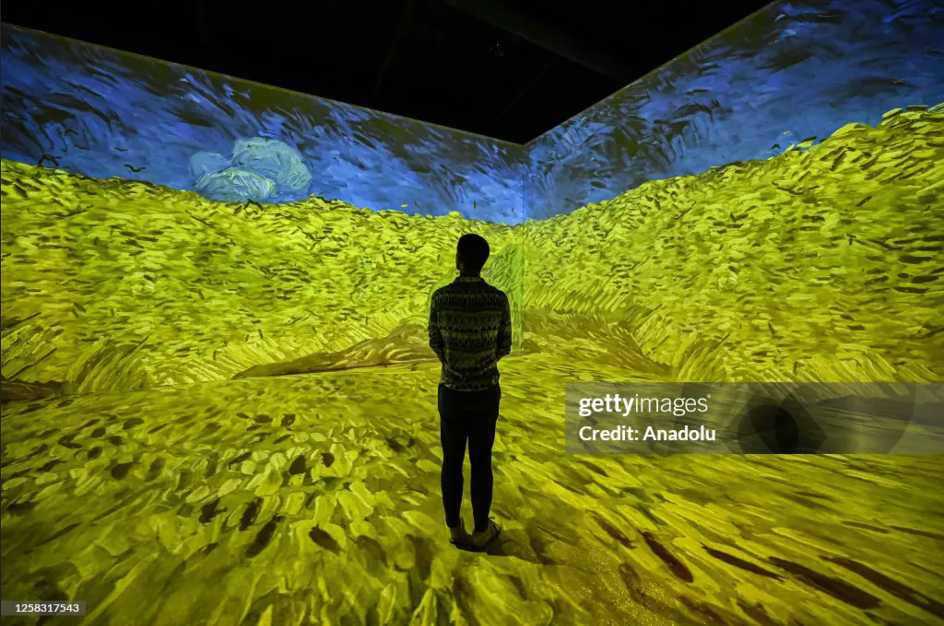MILAN, ITALY - MAY 31: a man looks up at walls displaying paintings by Dutch painter Vincent van Gogh during the press preview of the ‘Van Gogh Experience’ exhibition at Scalo Farini in Milan Italy on 31 May 2023.  Fotografo a Milano - Photographer Milan