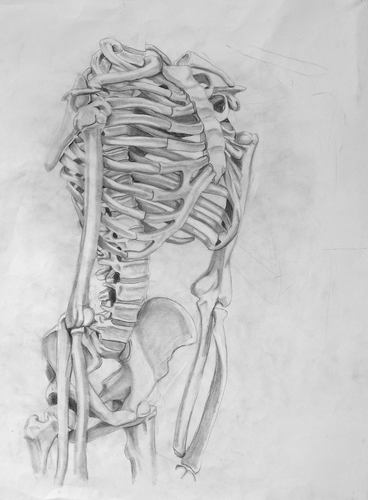 Graphite on Paper. 18" x 24".