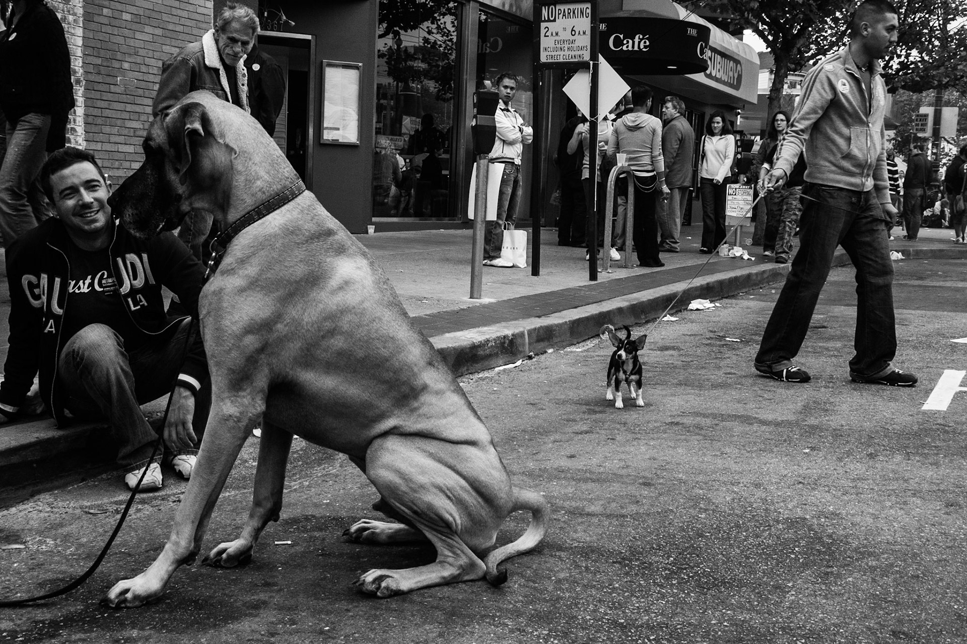 San Francisco, 2006