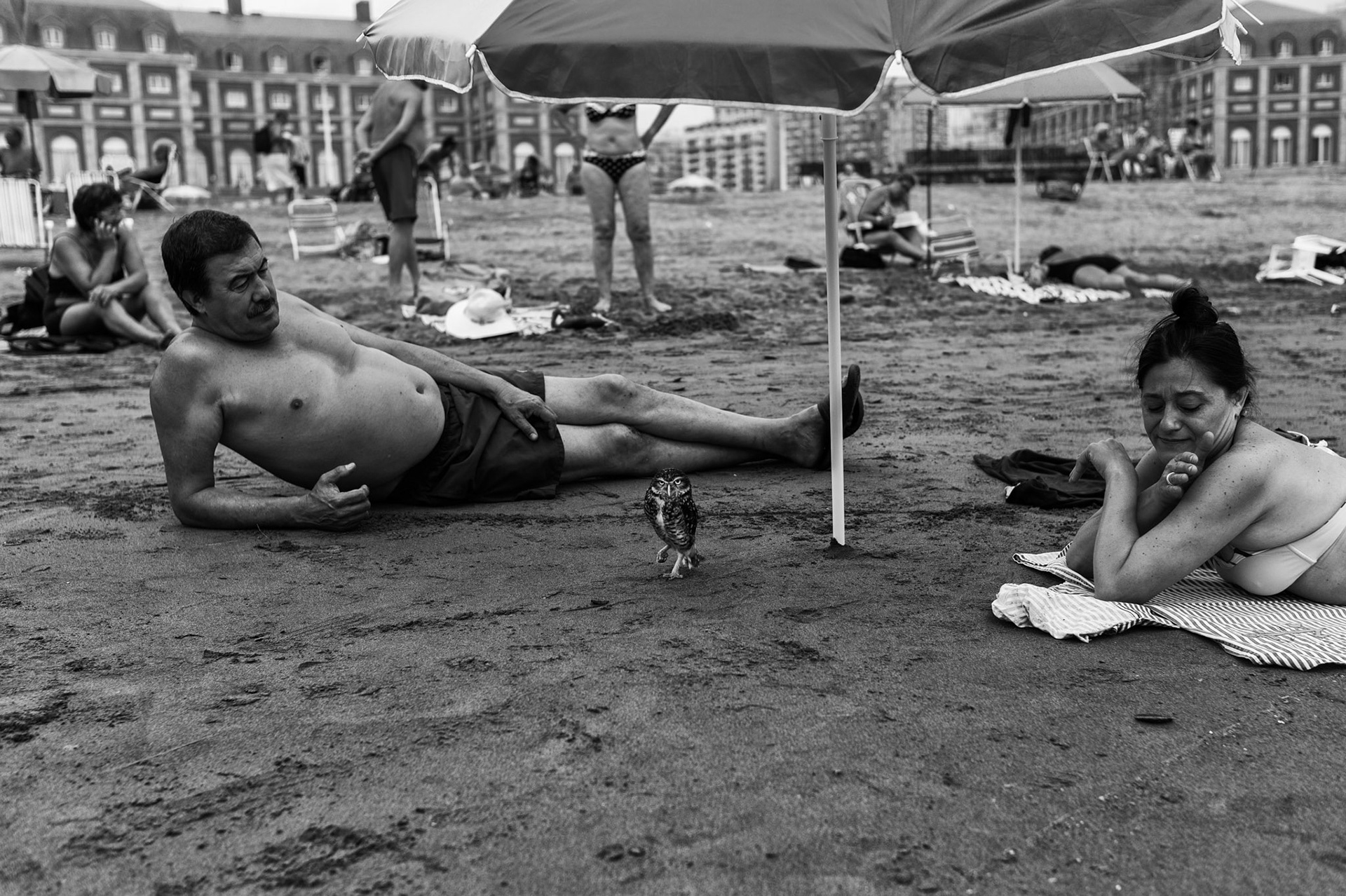 Mar del Plata, 2014