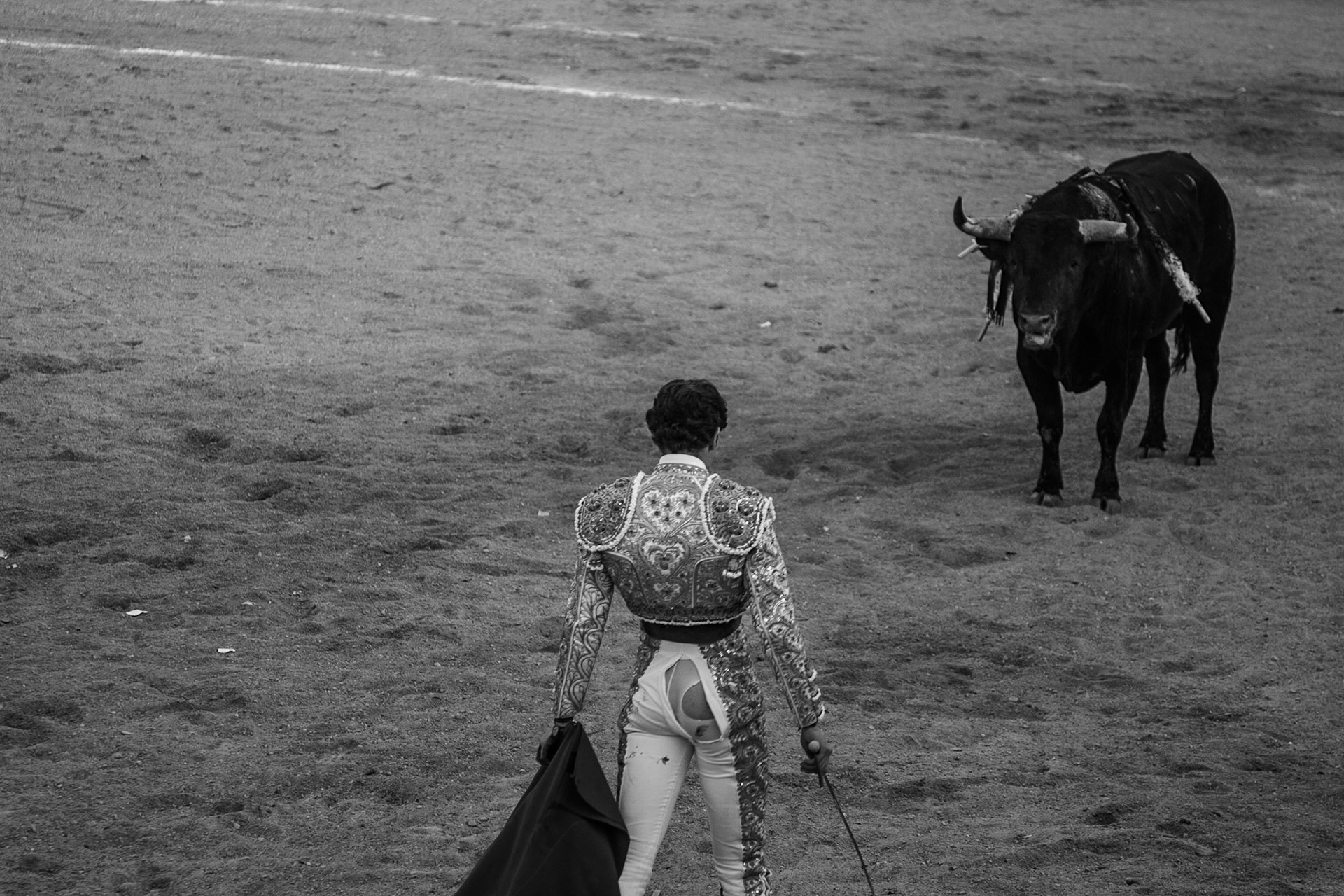 San Cristóbal de las Casas, 2013
