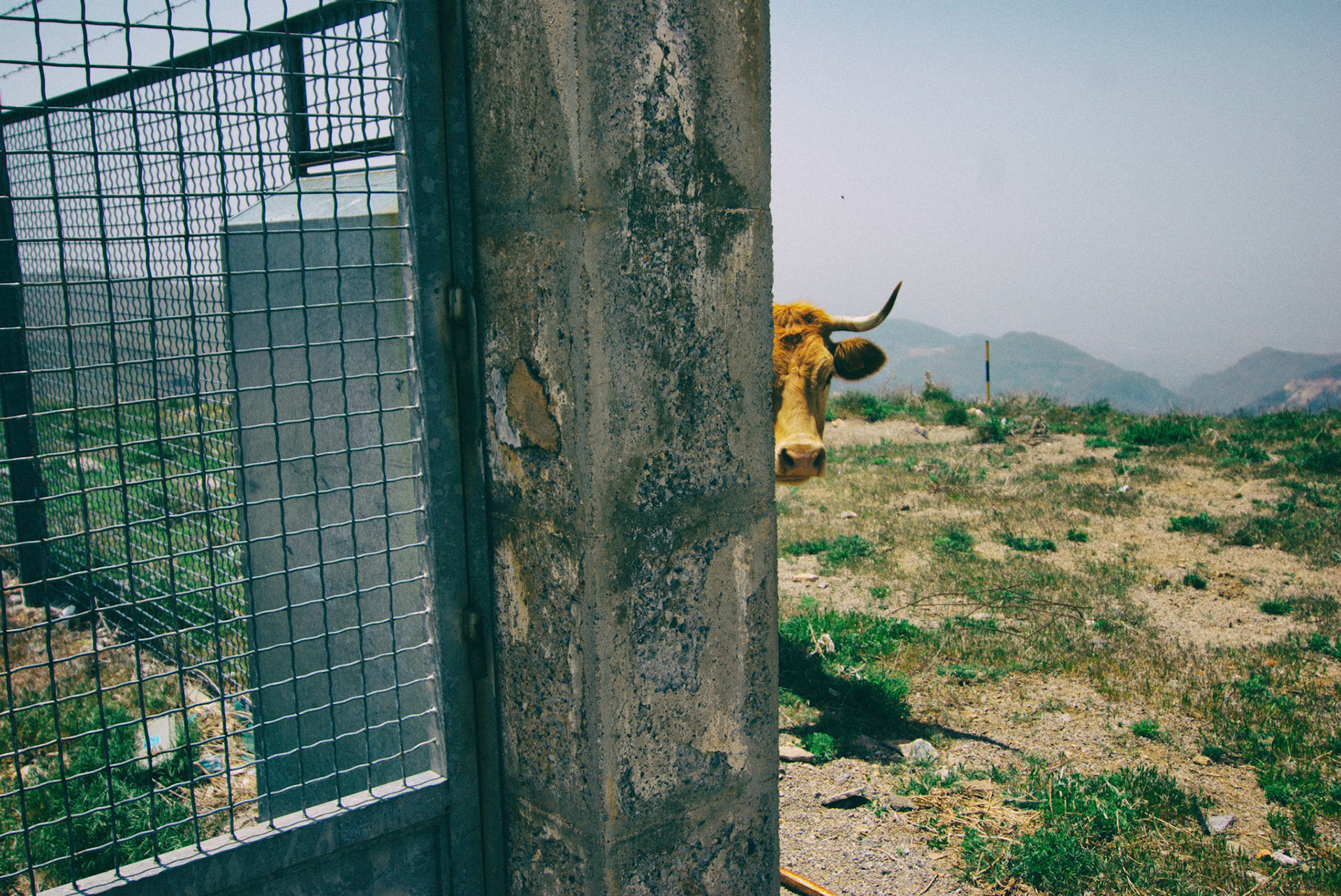 South of Spain, 2008