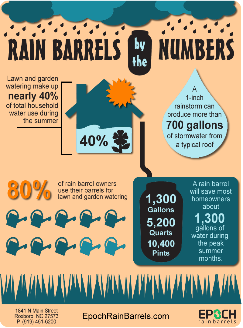 Infographic