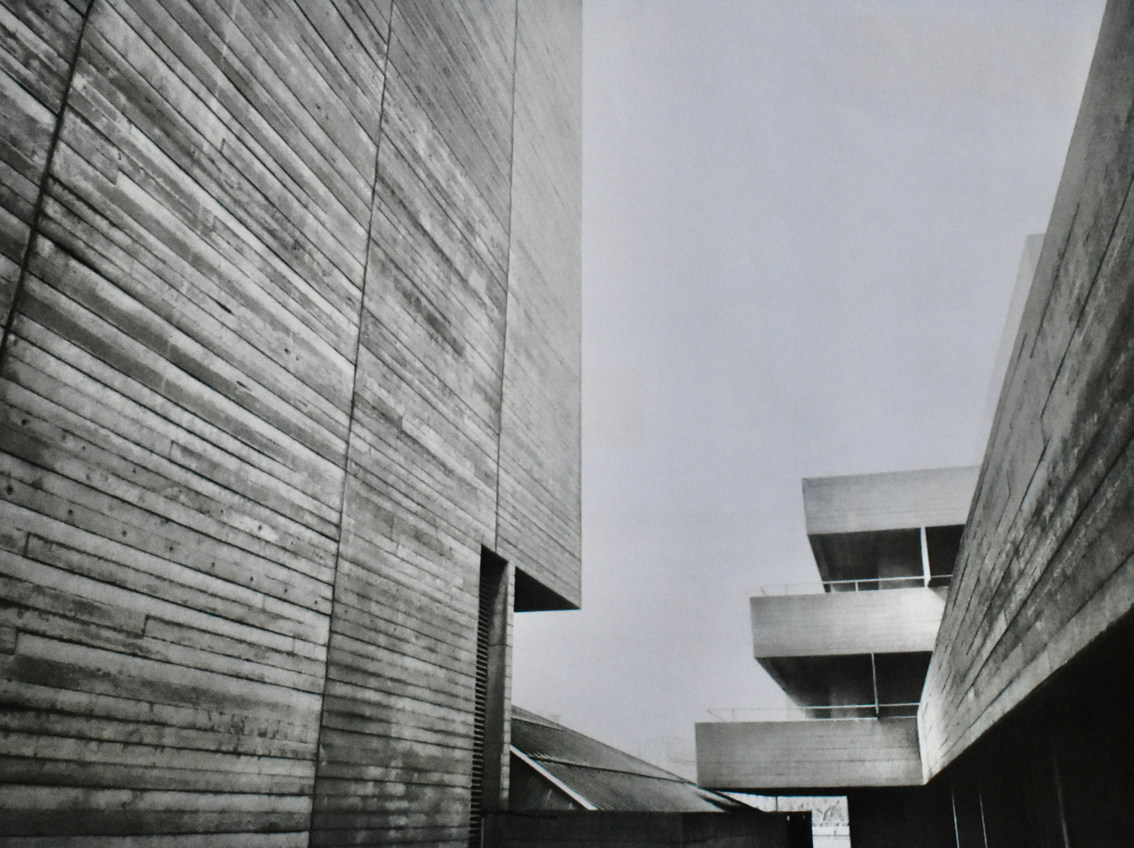 Photography - Lottie Whyman