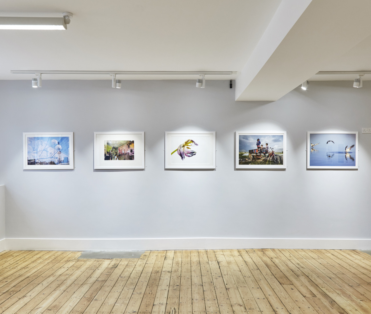 Photo Letchworth. © Corey Bartell Sanderson