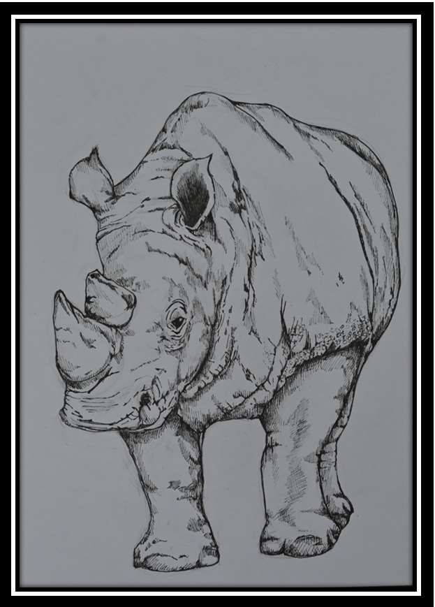 Big Rhino