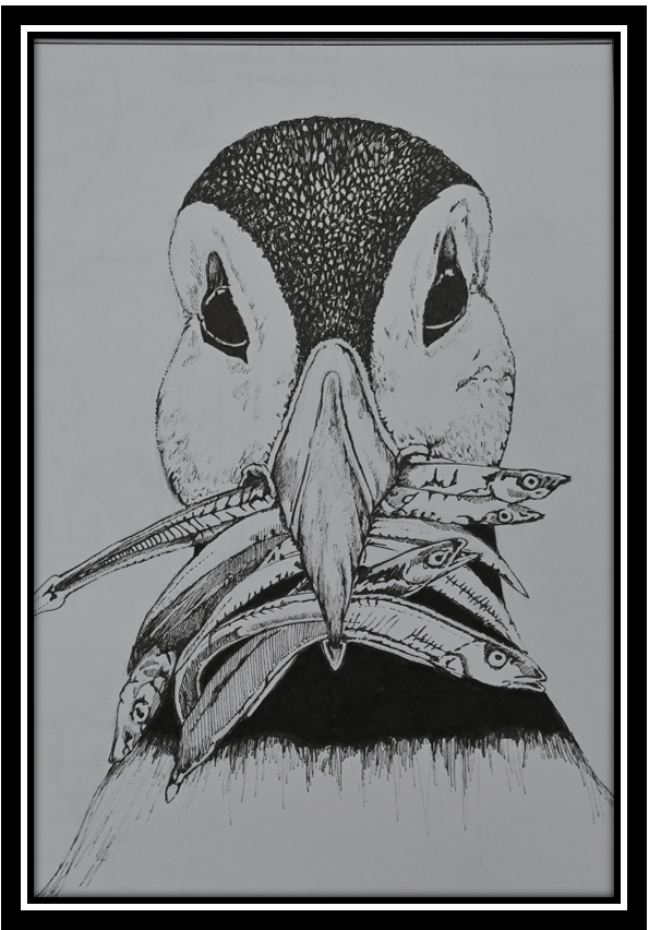 Puffin snacks